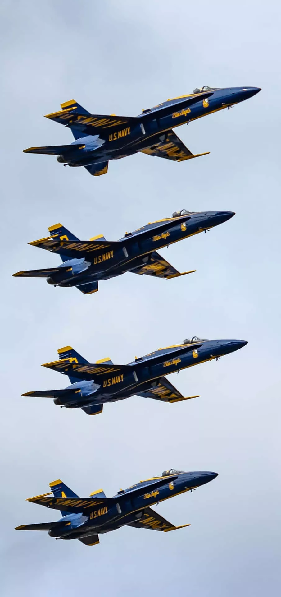 Download Majestic Blue Angels in Flight