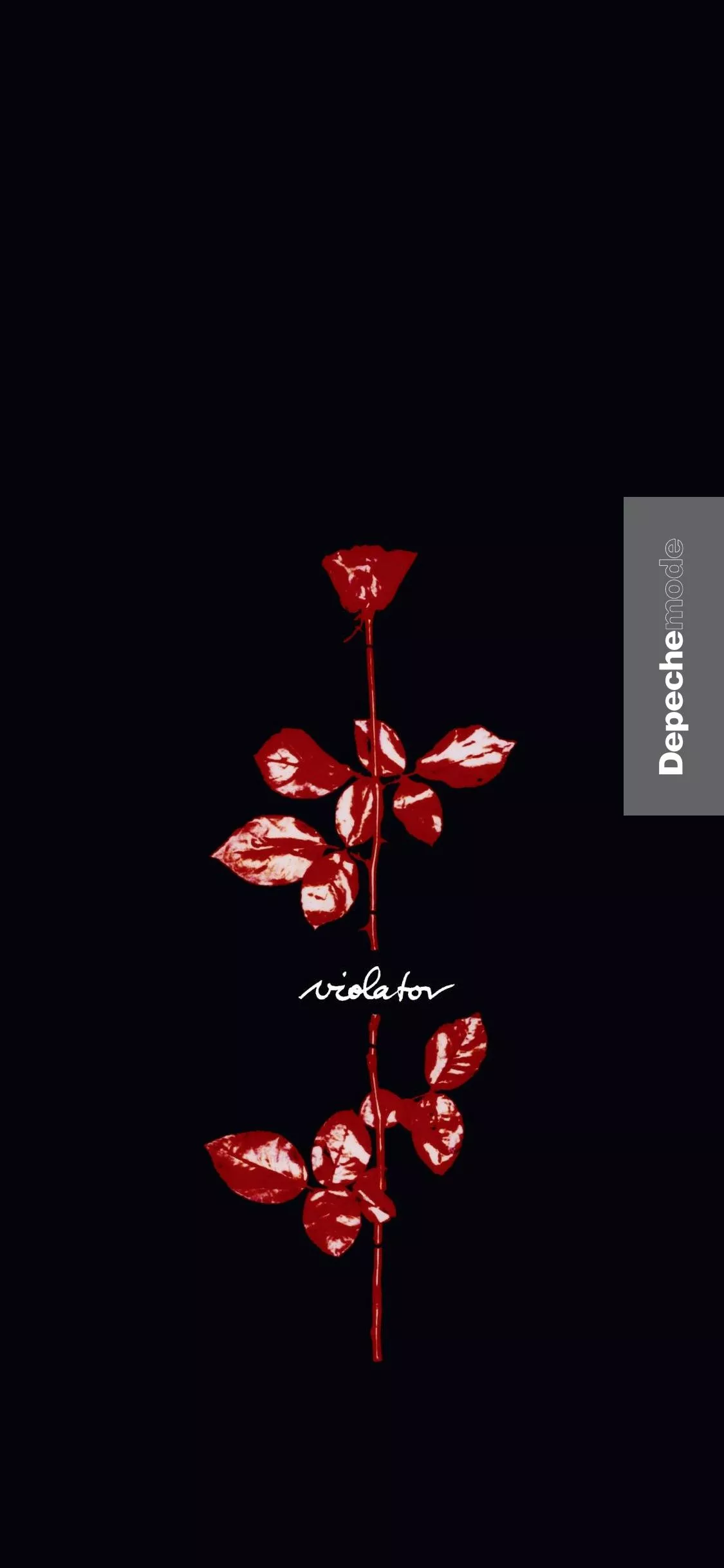 mobile phone wallpaper and lock screen