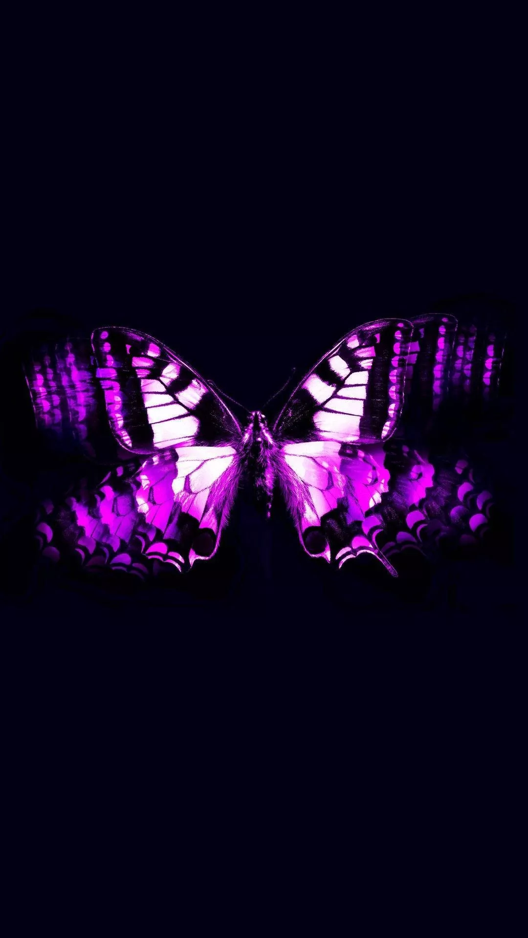 Download Psychedelic Purple Butterfly