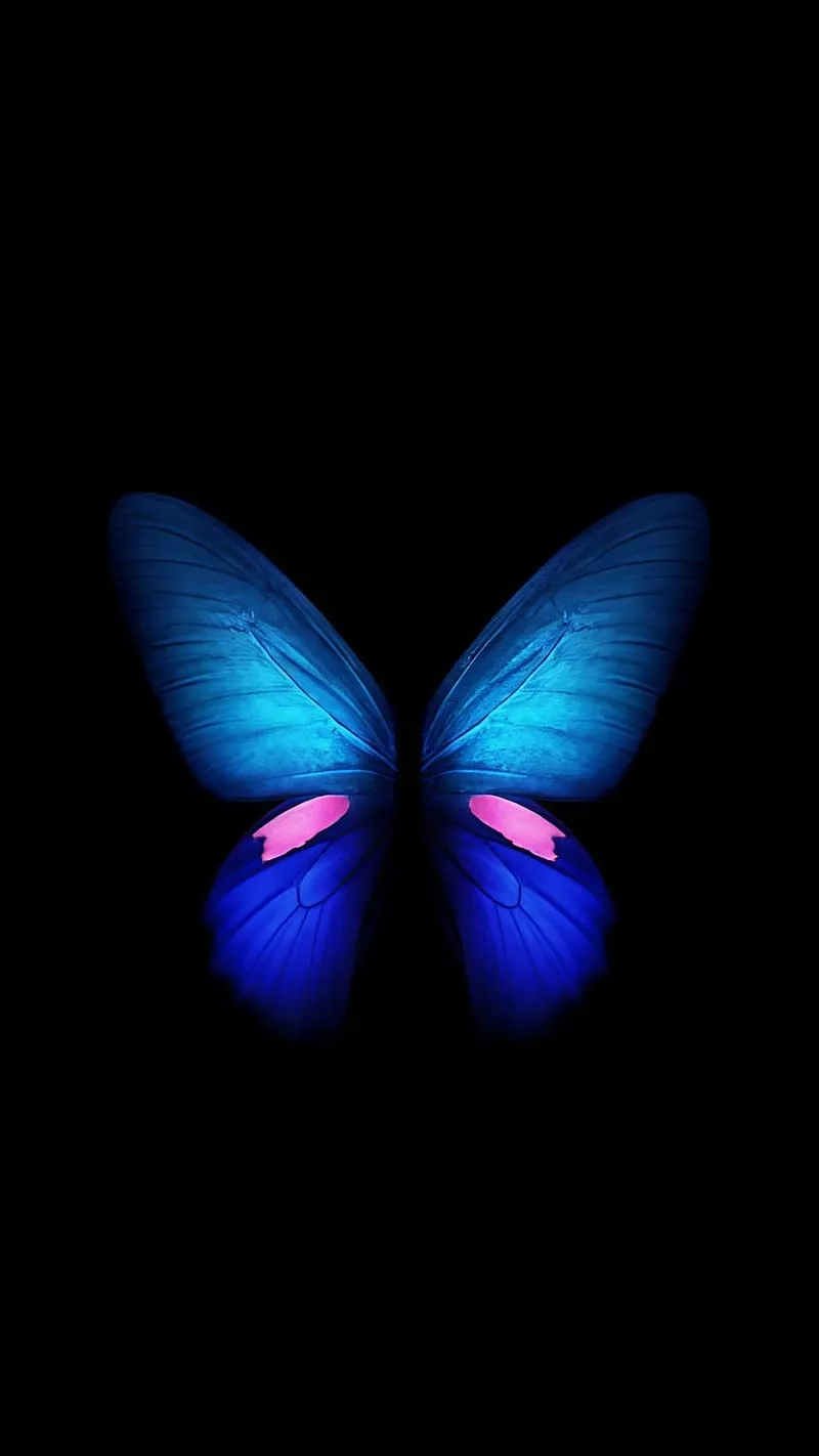 HD mobile butterfly wallpaper