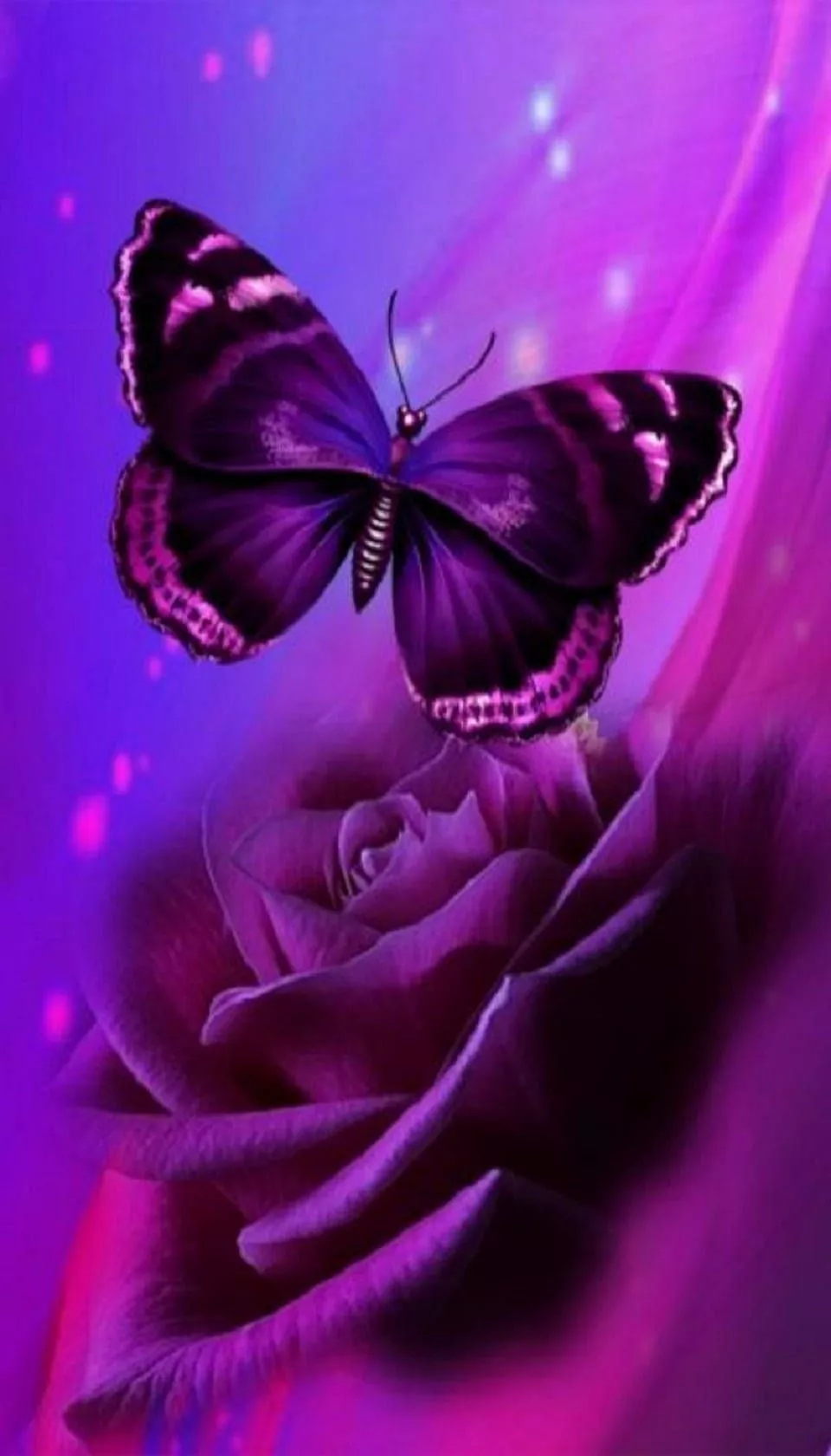 Purple Butterfly Phone HD Wallpaper