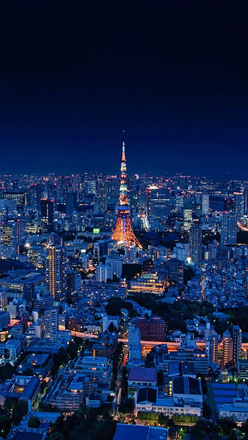 Download wallpaper 800x1420 night city