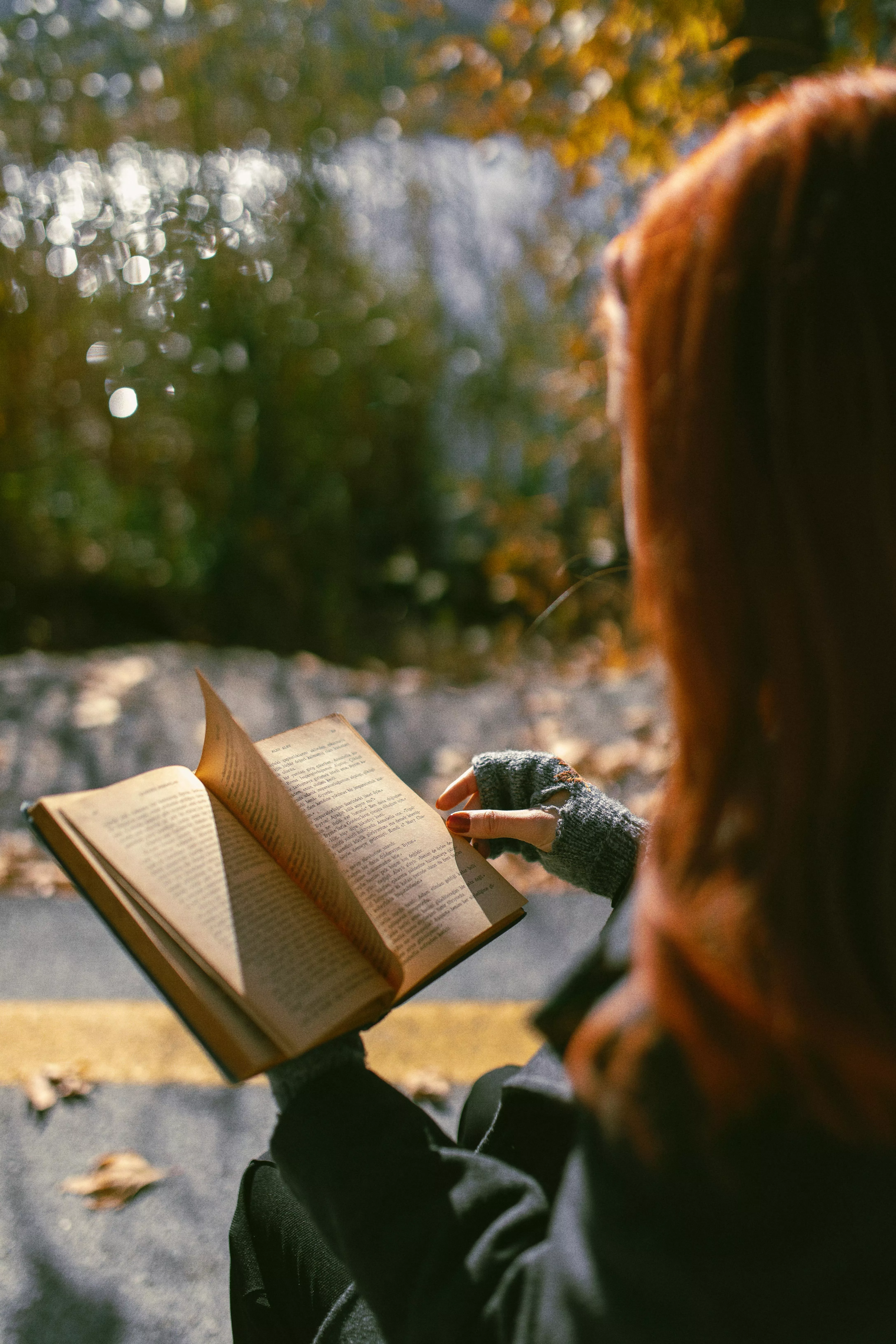 Woman Reading Book in a Park · Free