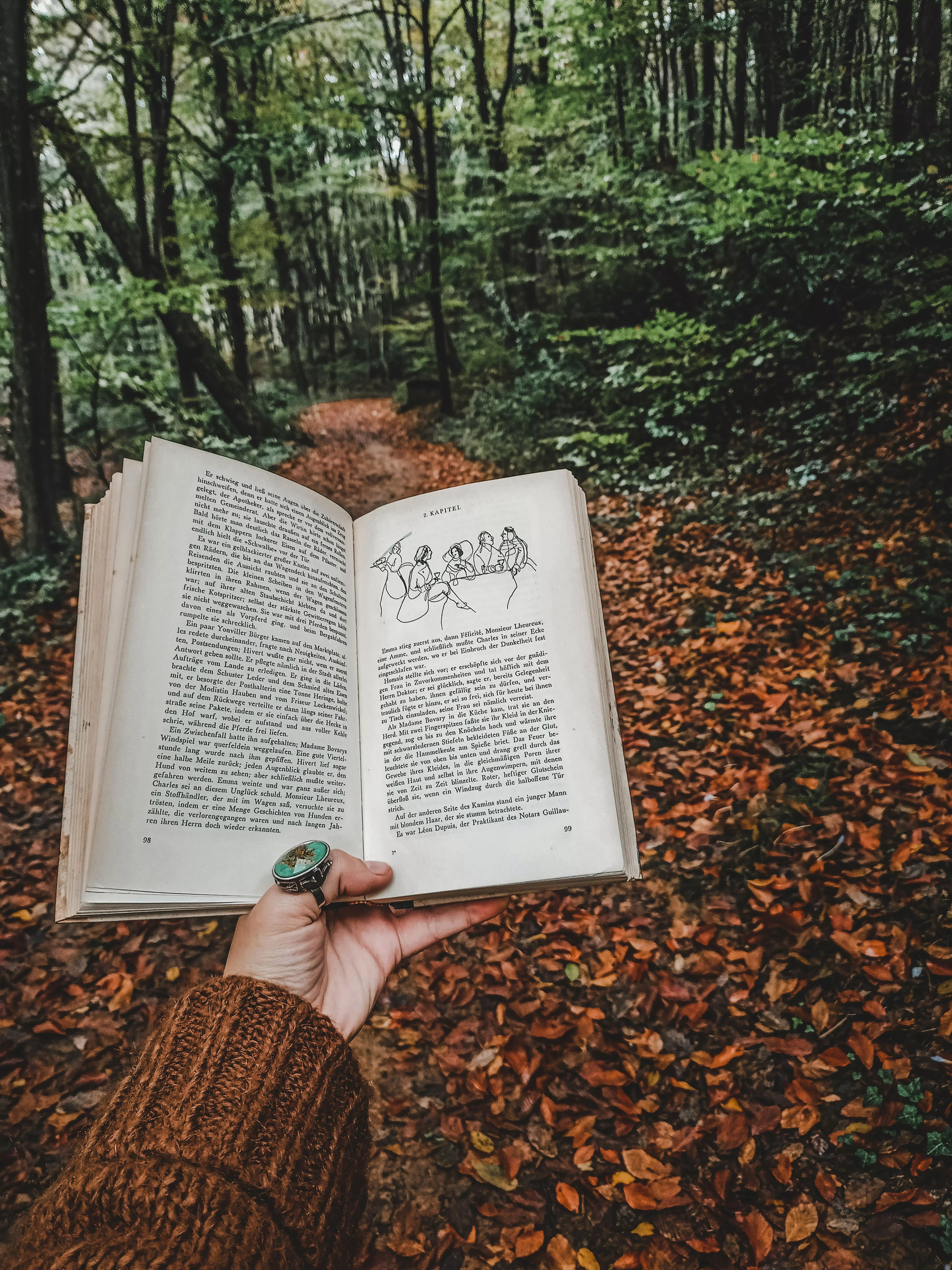 Reading In Nature & HD Image