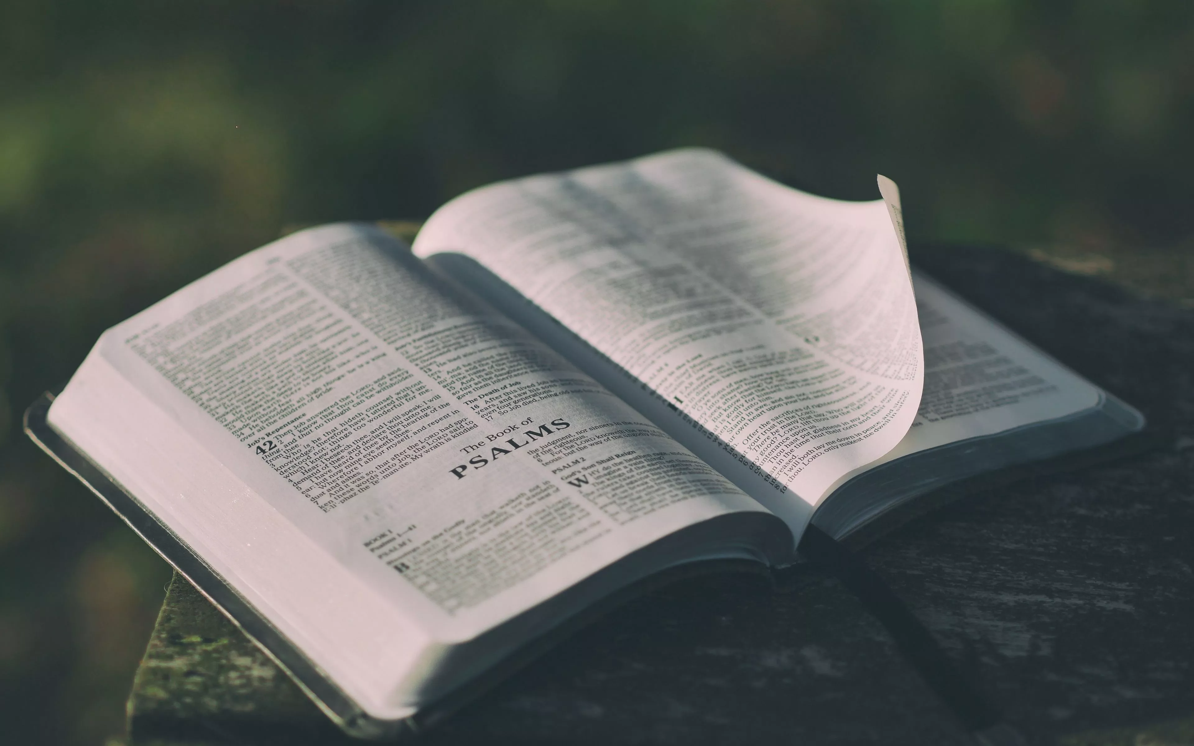 Download wallpaper 3840x2400 book