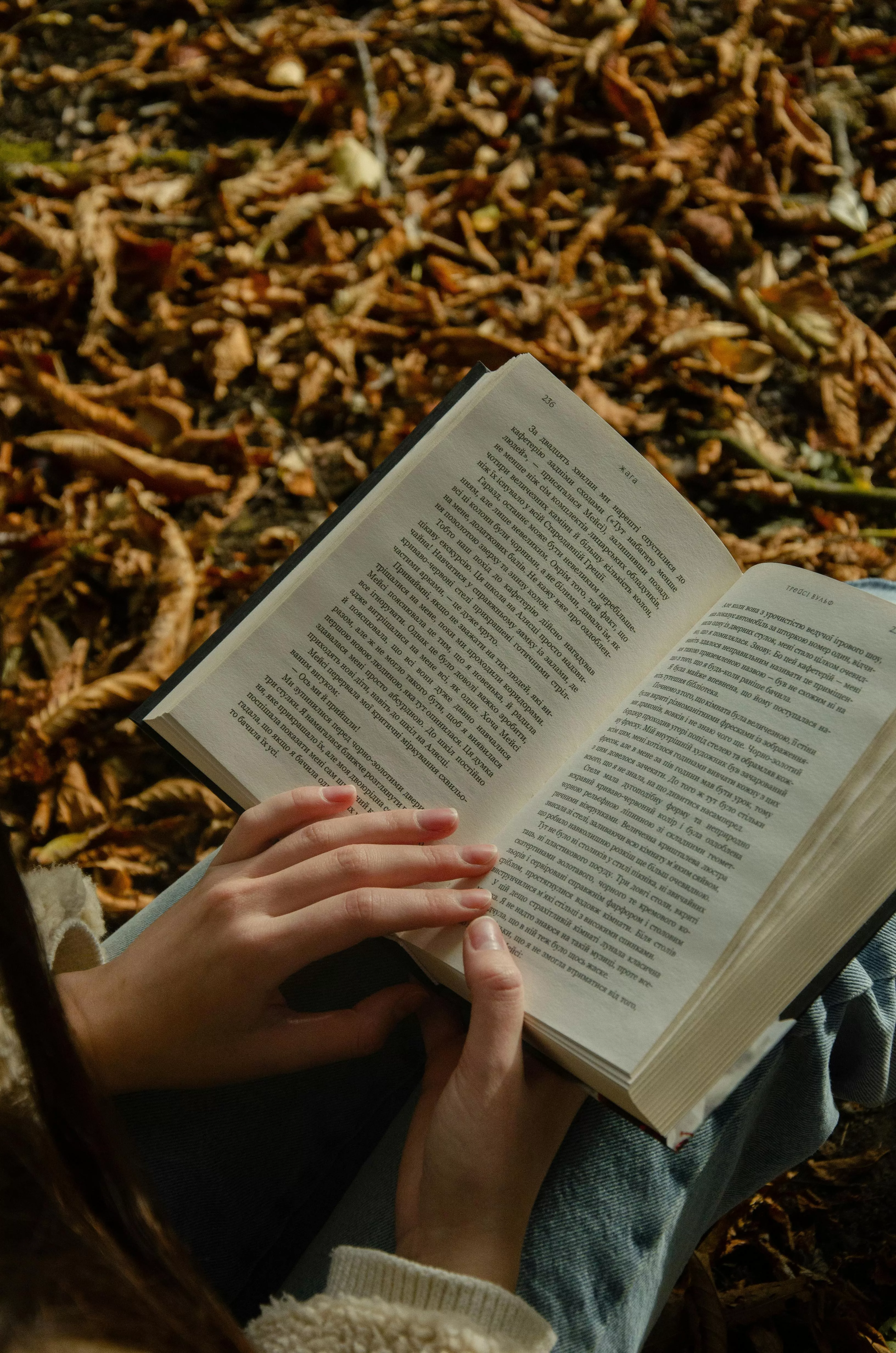 Reading In Nature & HD Image