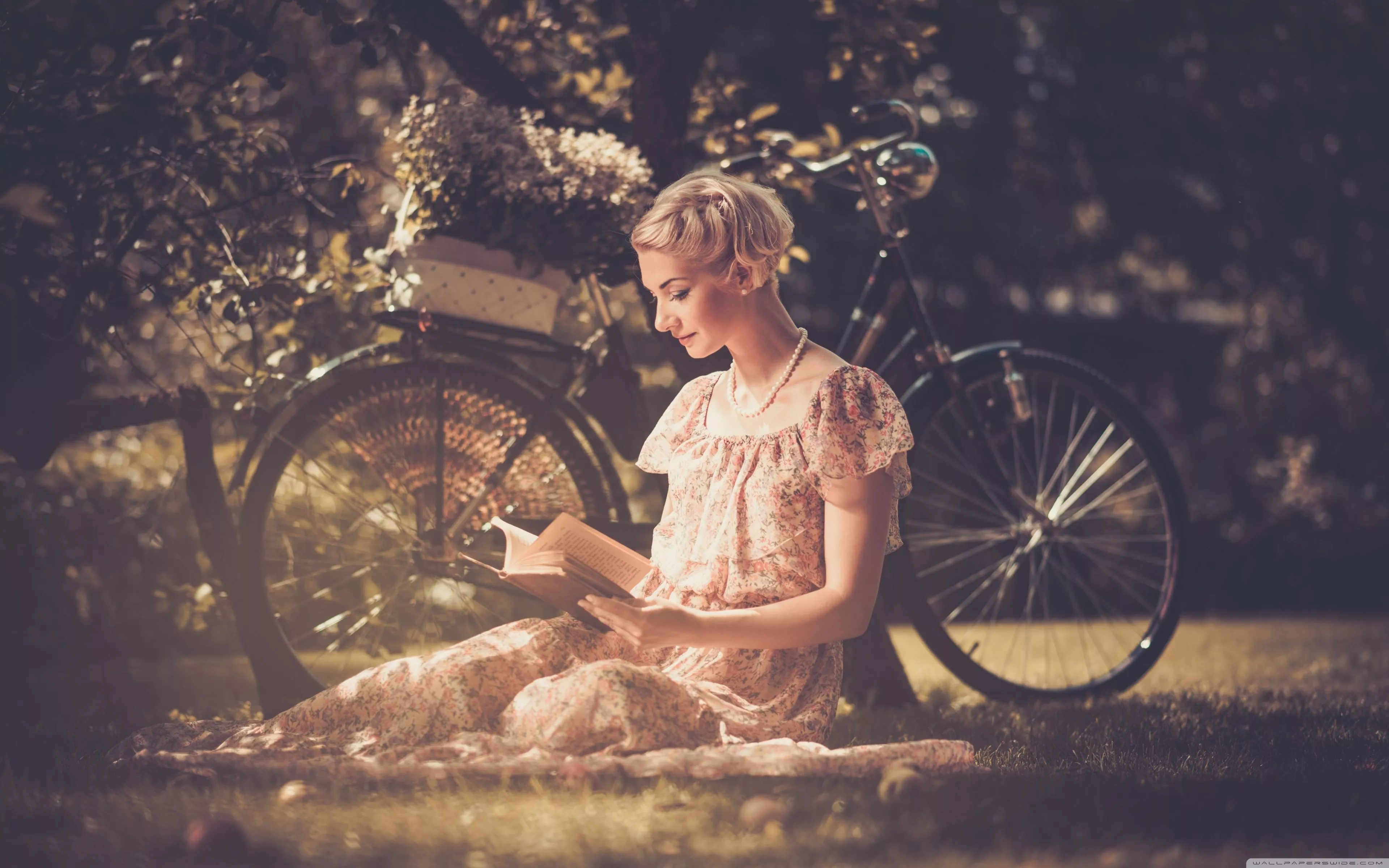 Reading Books Ultra HD Wallpaper for 4K