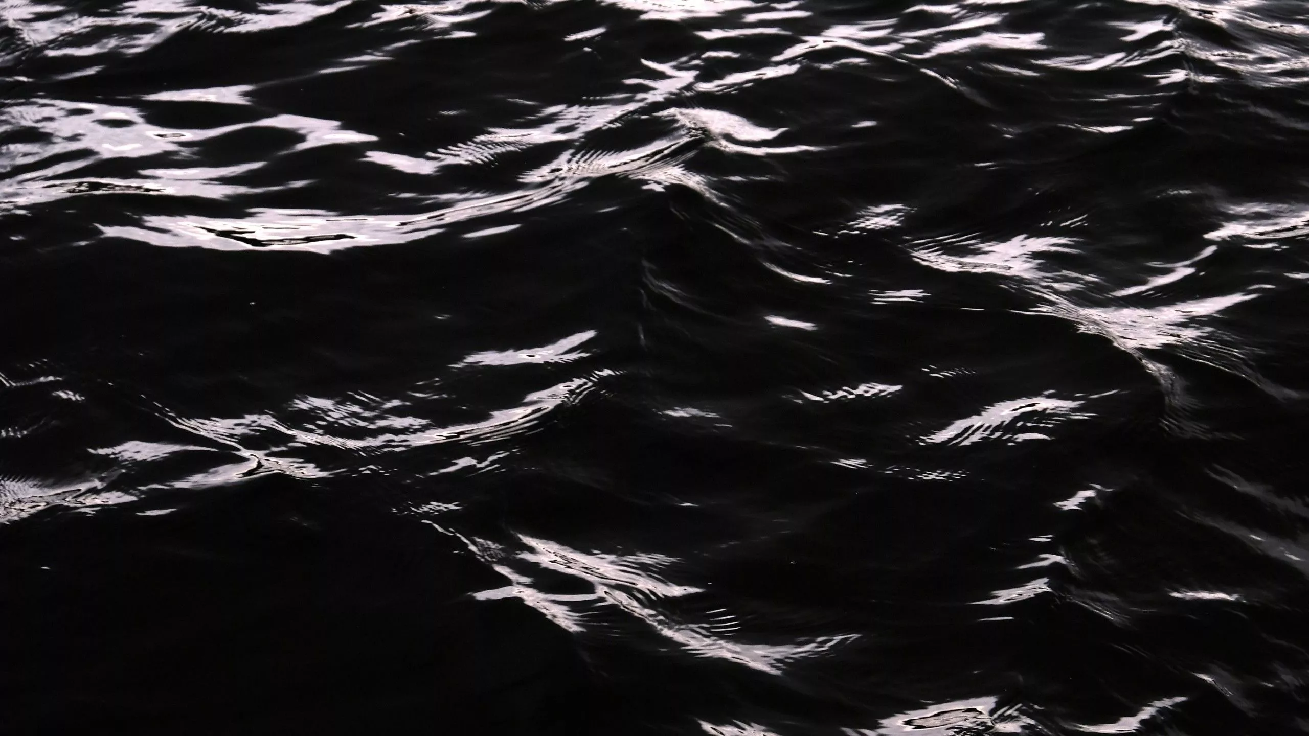 Ocean Water Waves Black White 4K HD