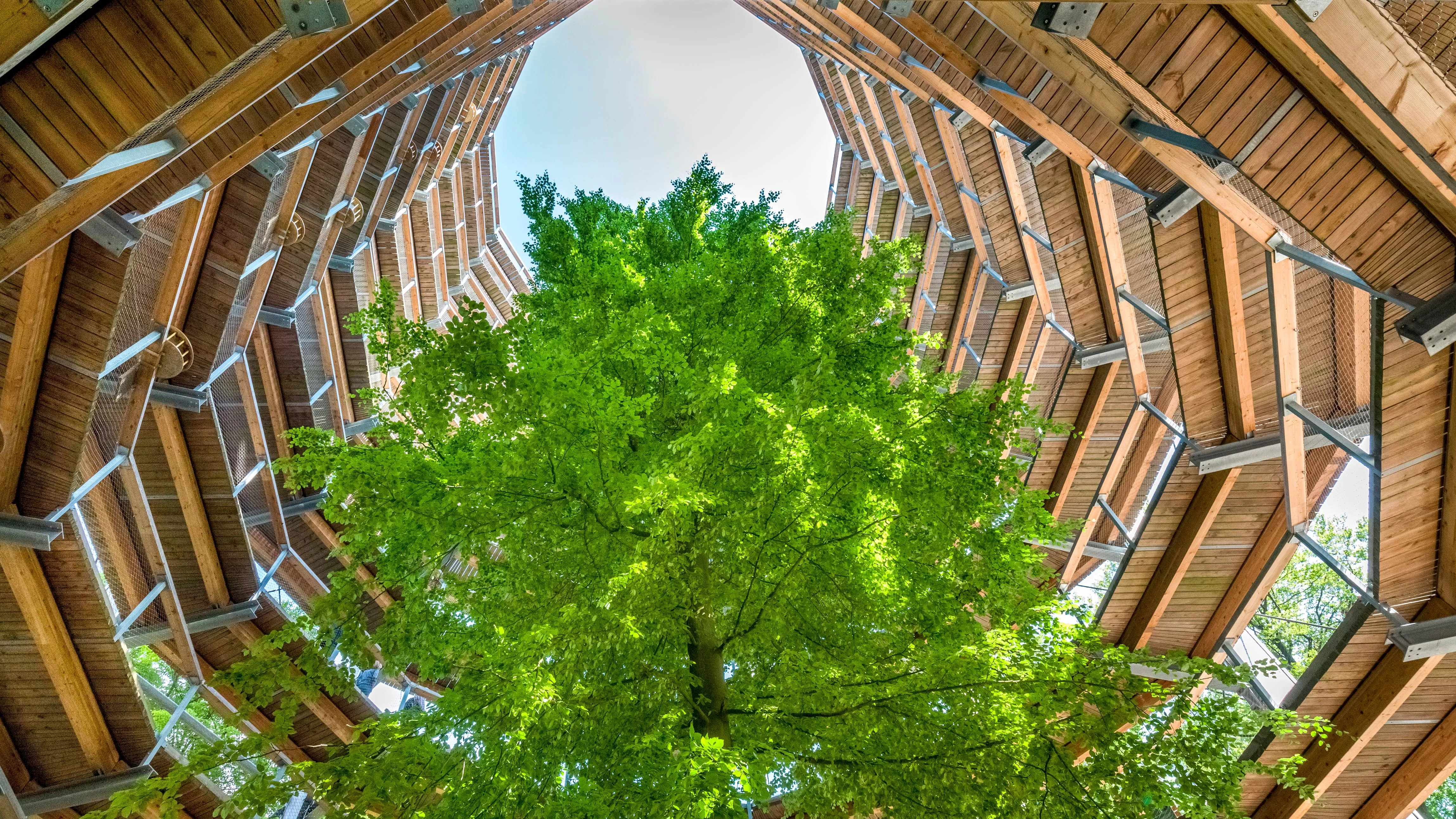 Architecture 4k Ultra HD Wallpaper