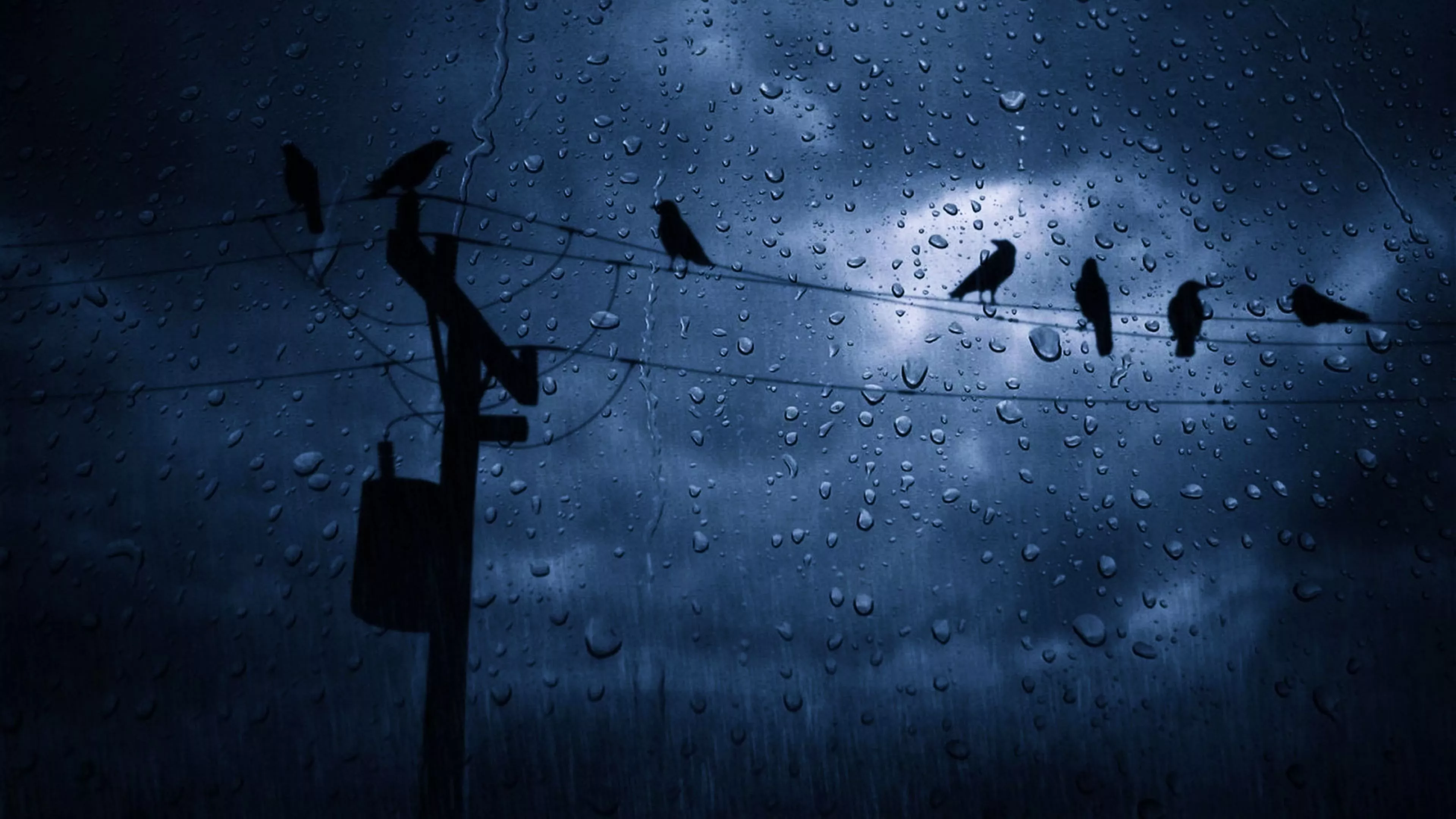 Dark Rainy Sky with Birds Ultra HD
