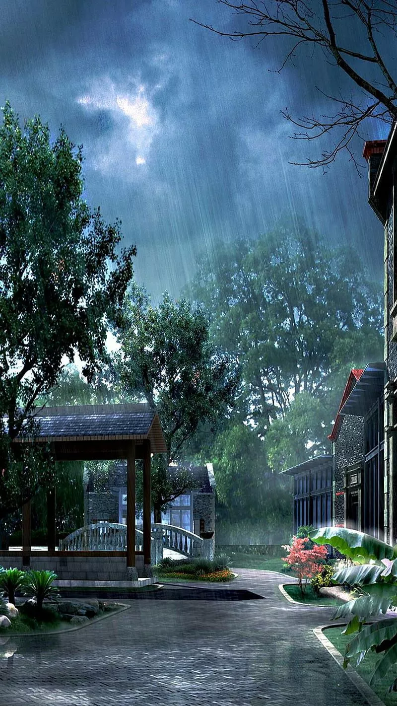 Rain, dark rainy, rooms, tropical, HD phone wallpaper