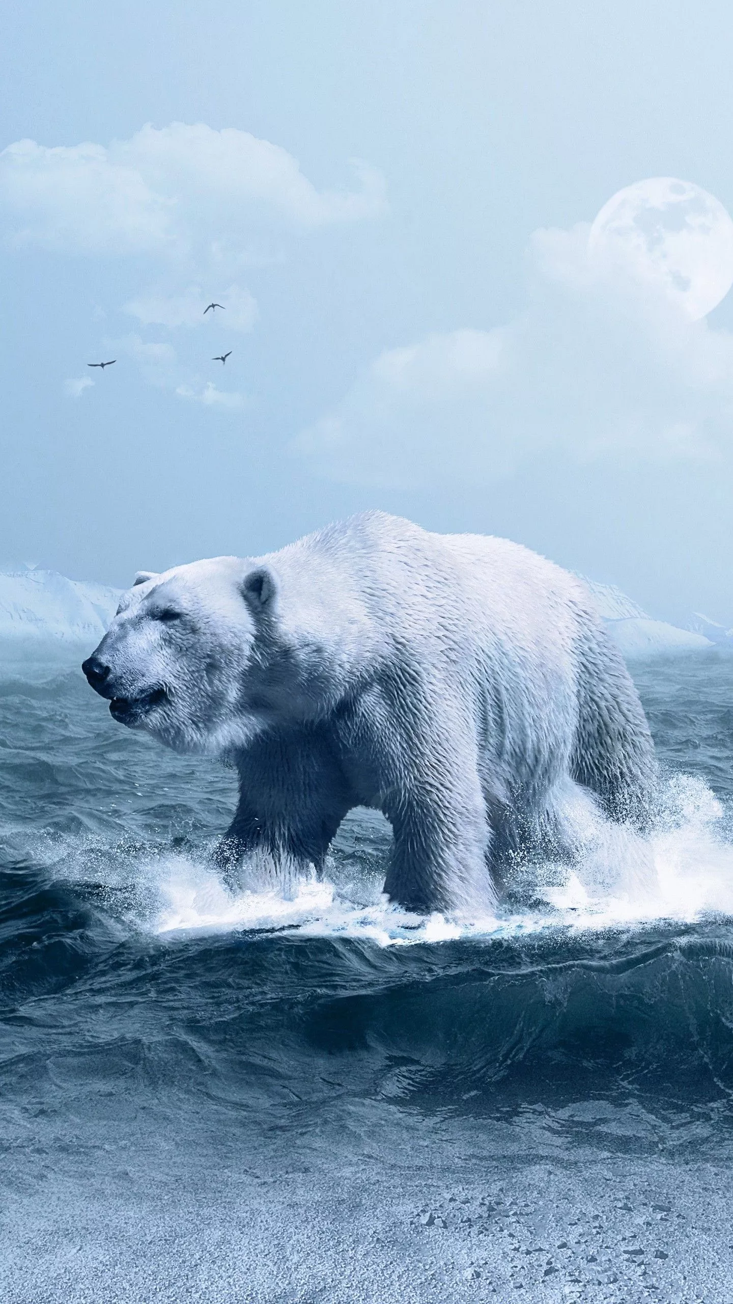 Polar Bear Wallpaper. HD Wallpaper