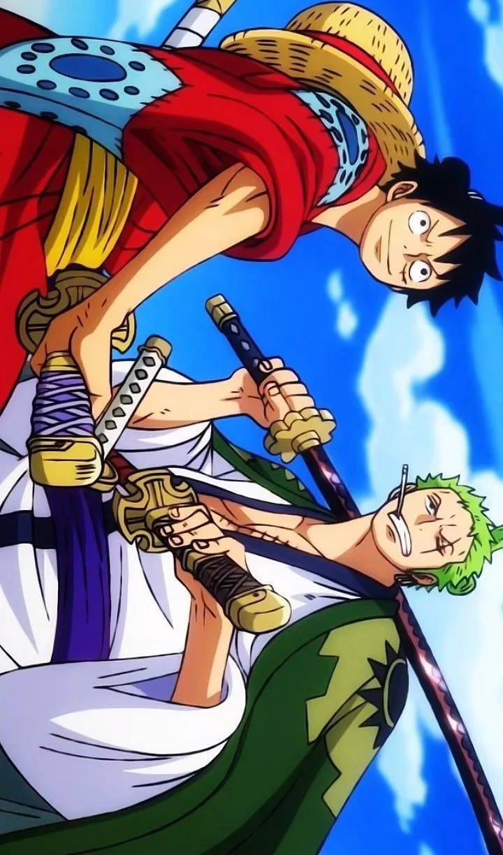 luffy and zoro