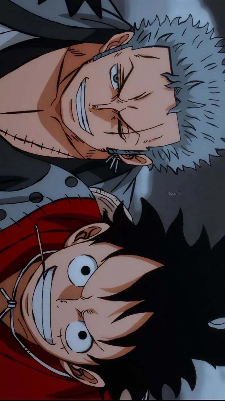 Luffy & Zoro's Latest HD Wallpaper