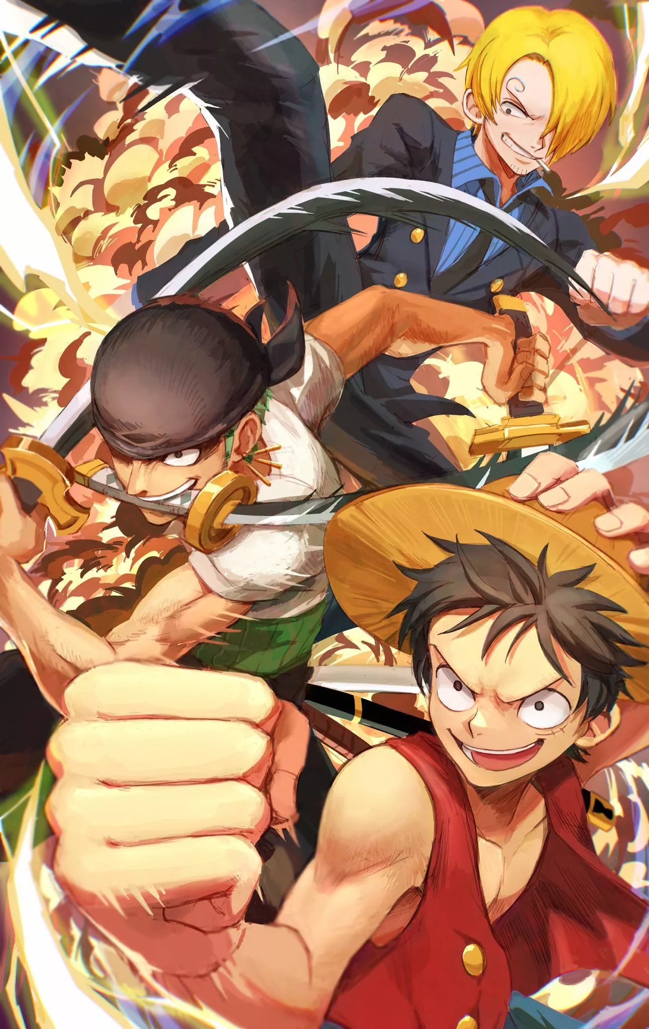 Roronoa Zoro Monkey D. Luffy Anime