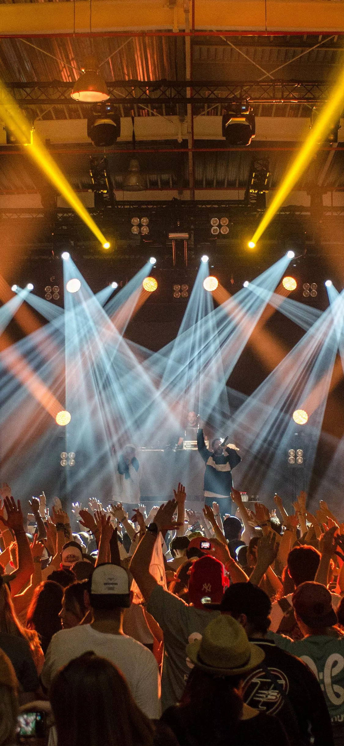 Party Club Dance Night Nature