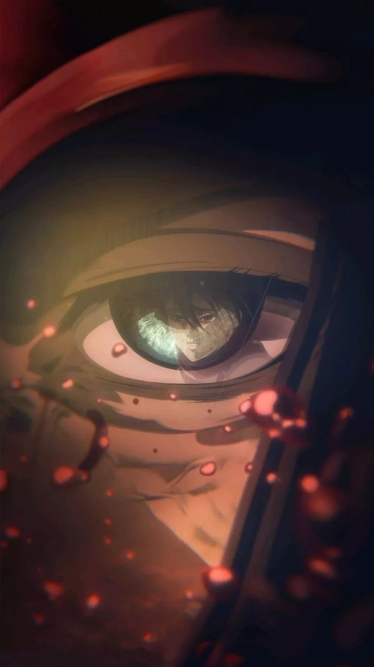 Mikasa in Eren's eyes