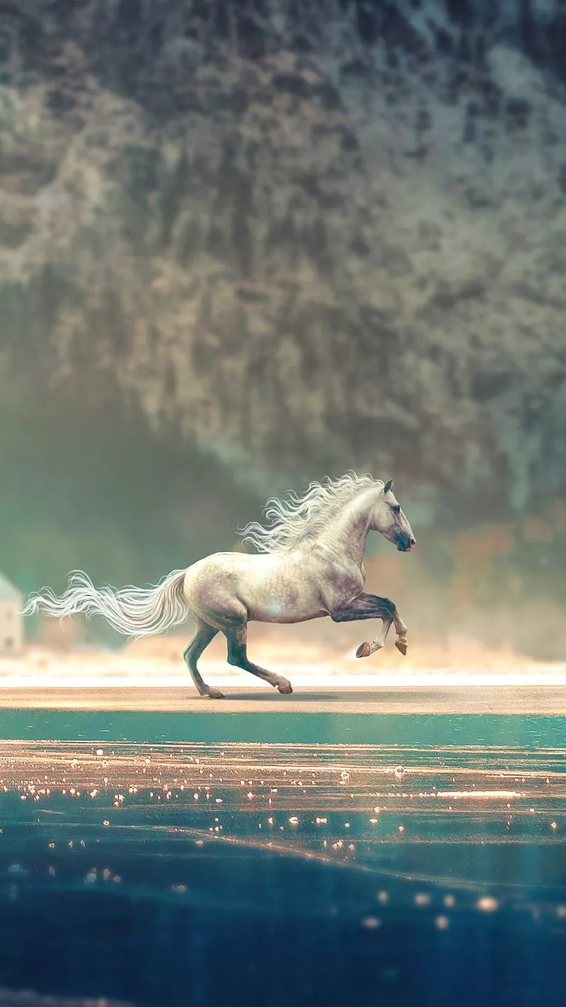 Running, horse, animals, HD wallpaper