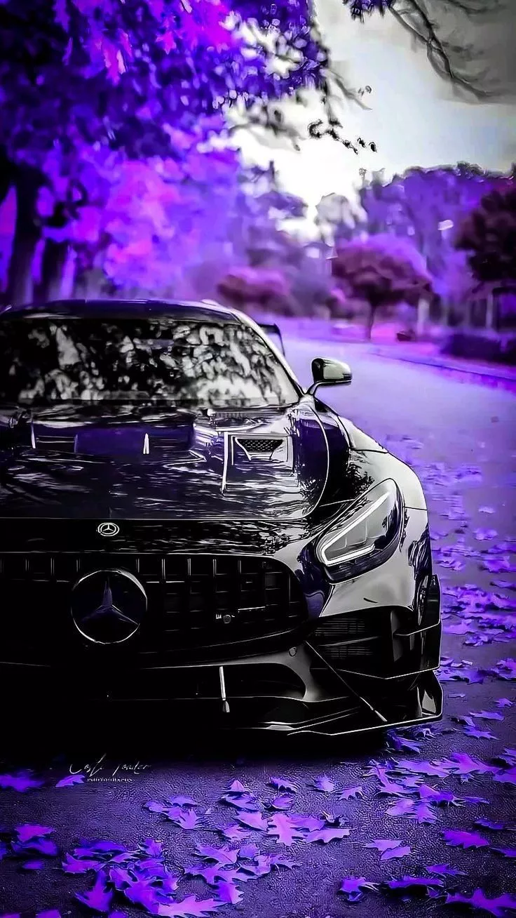 Purple Leaf Drive: Mercedes Benz Wallpaper