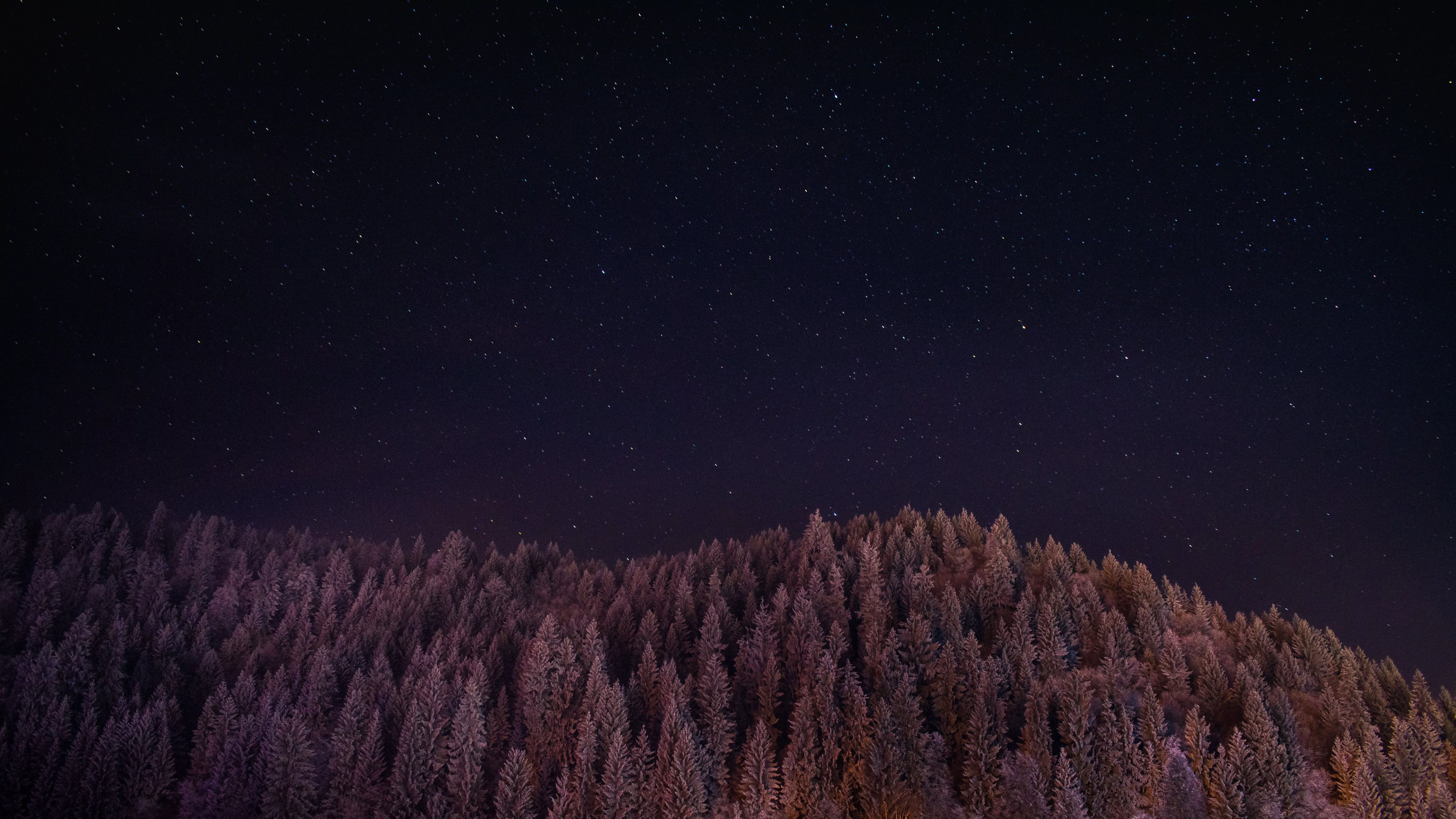 Stars Trees Night Dark Sky Wallpaper