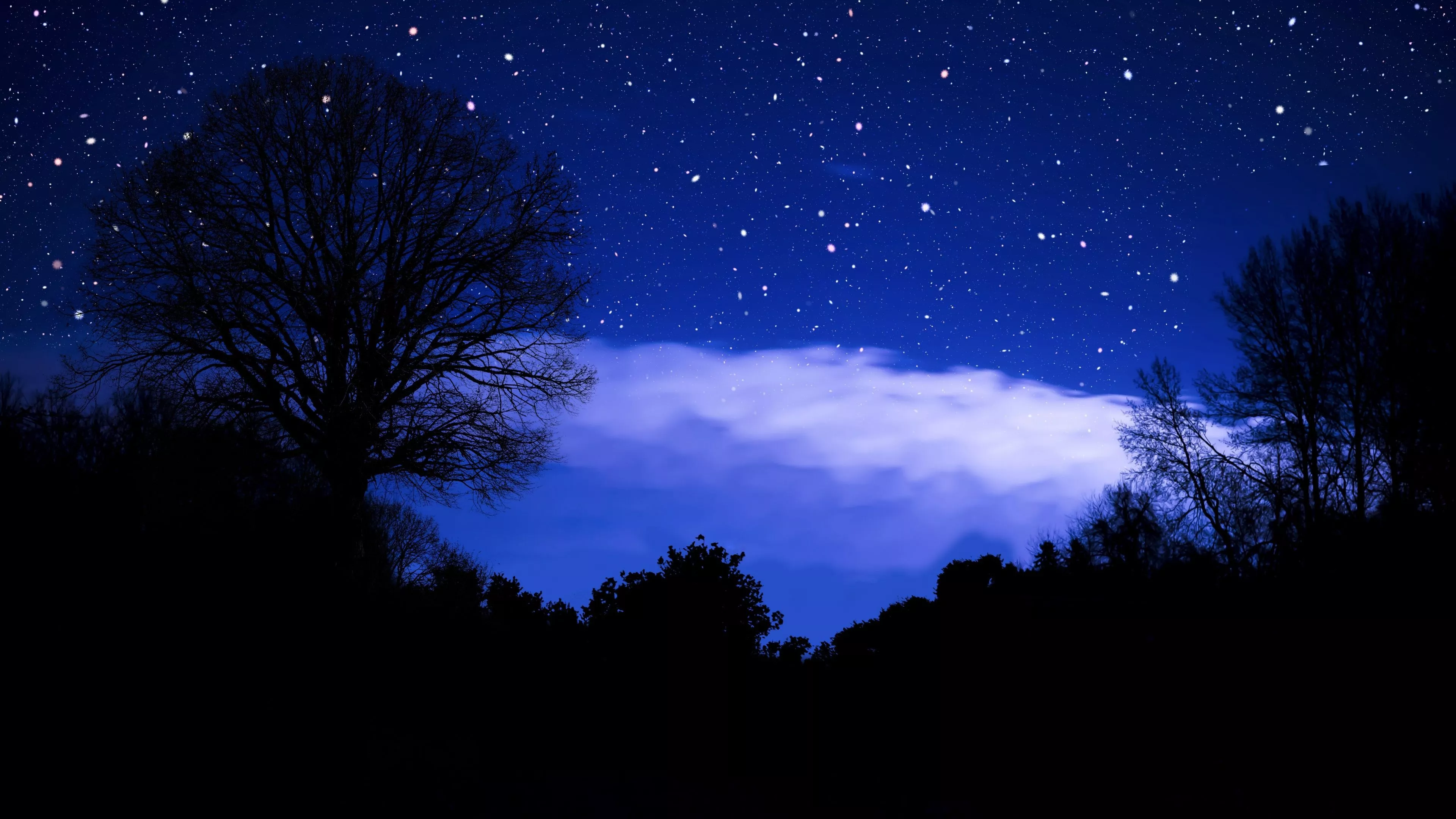 Stars in sky Wallpaper 4K, Dark blue