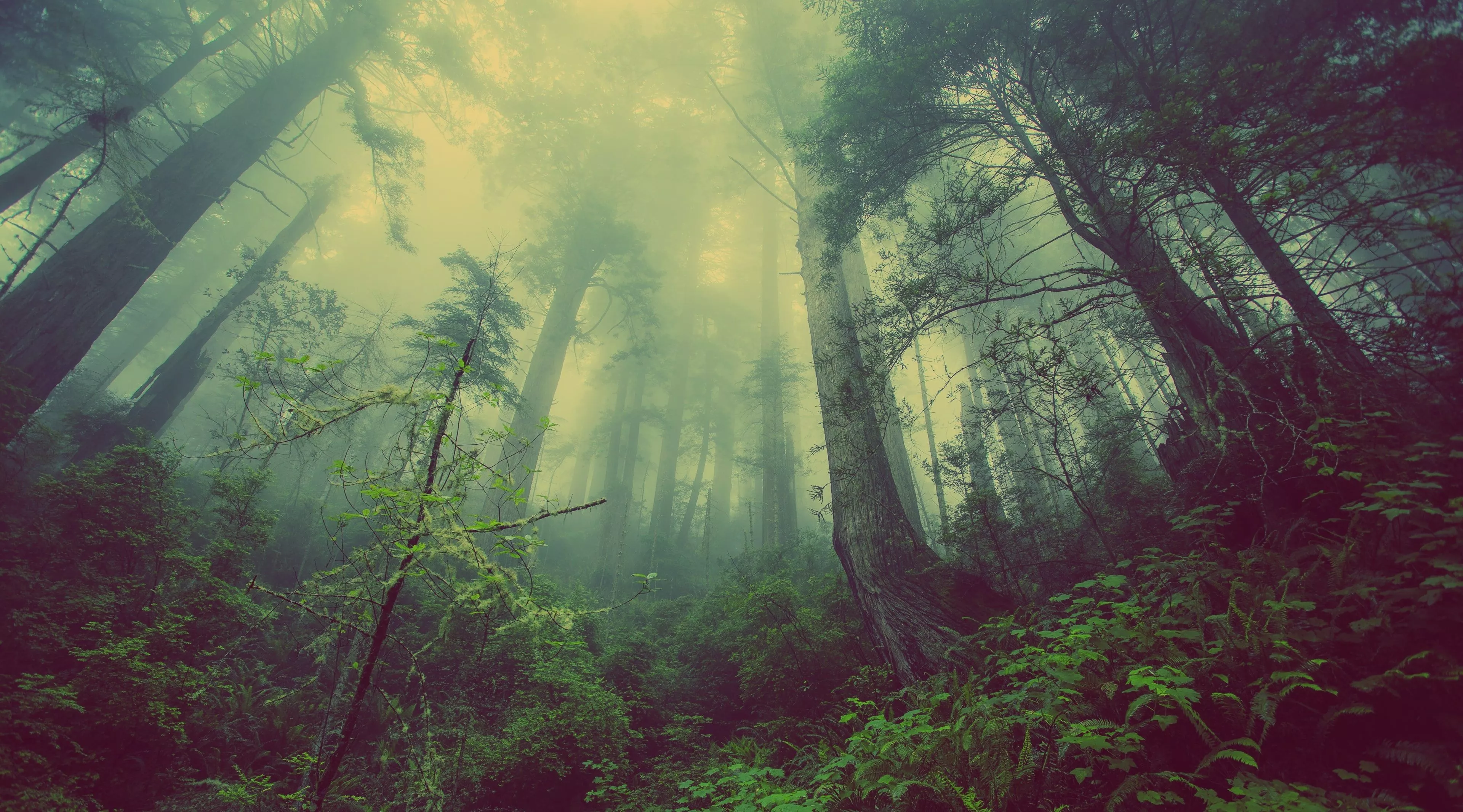 Free High Quality Ambient Wallpaper To