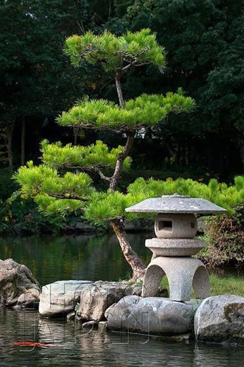 Japan garden, nature, zen, HD phone