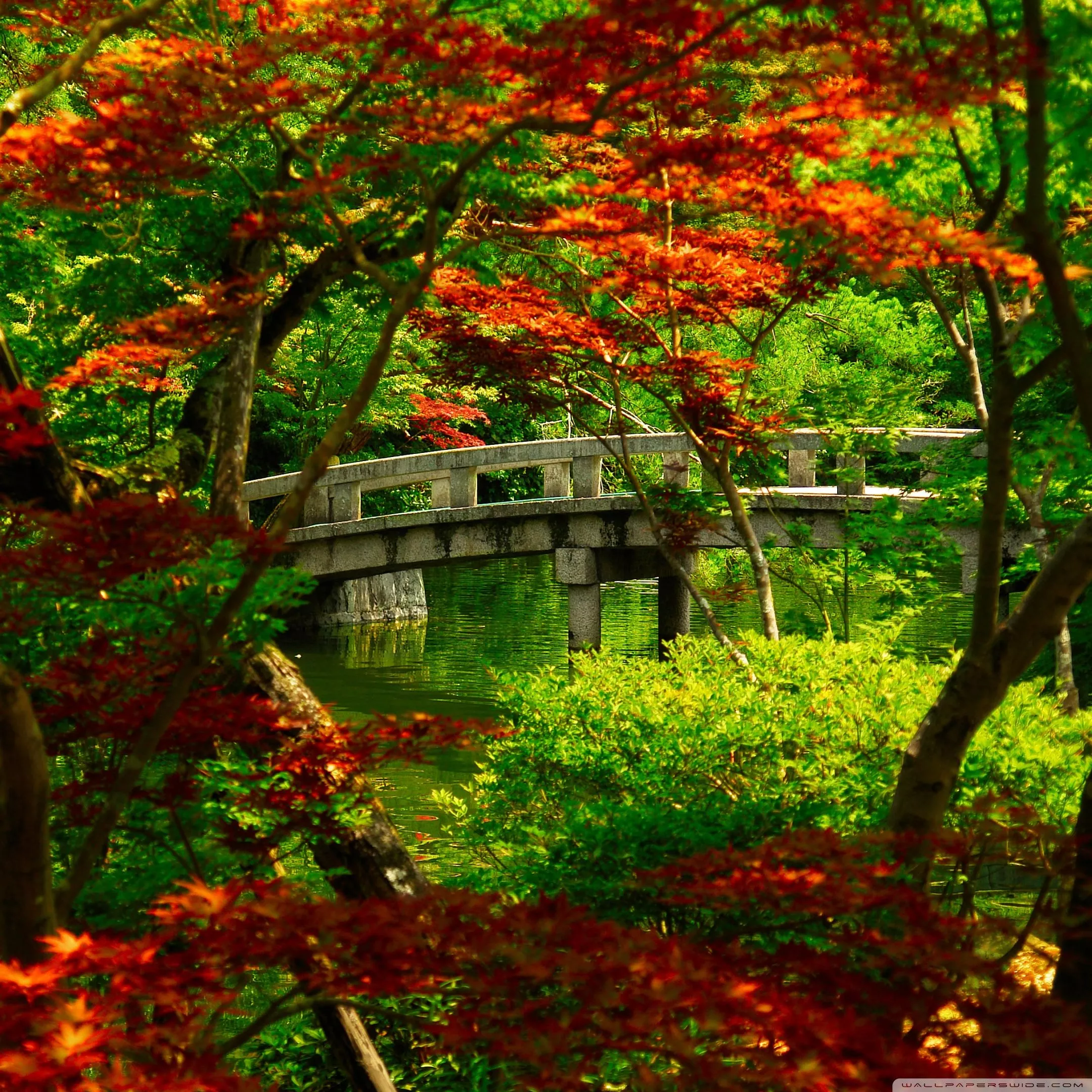 Japanese Garden (Kyoto) Ultra HD