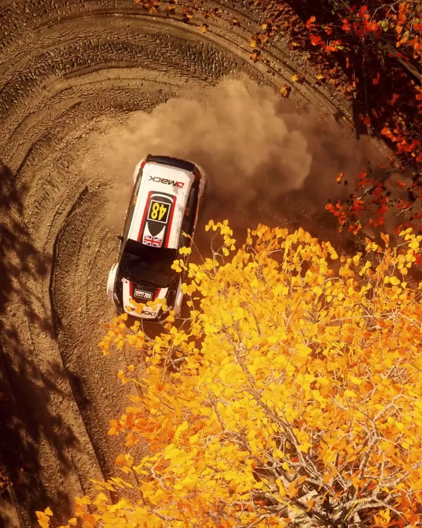 Dirt Rally 2.0 review: Great racing