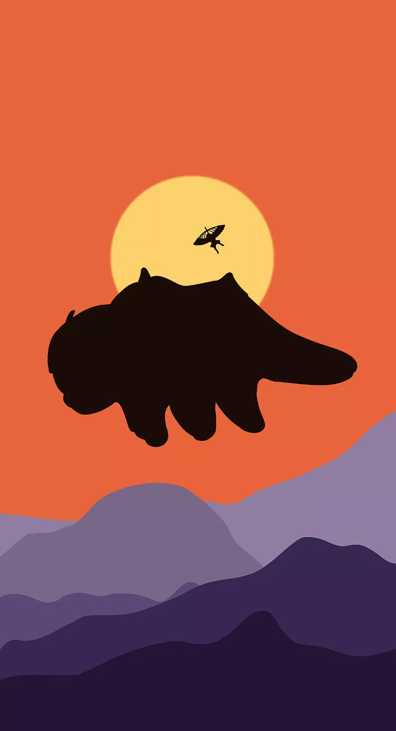 Appa and Aang, avatar