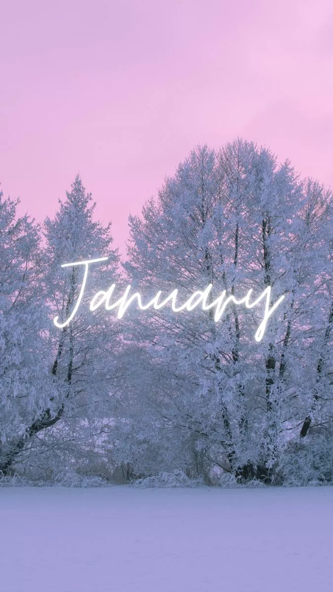 Beautiful January Wallpaper