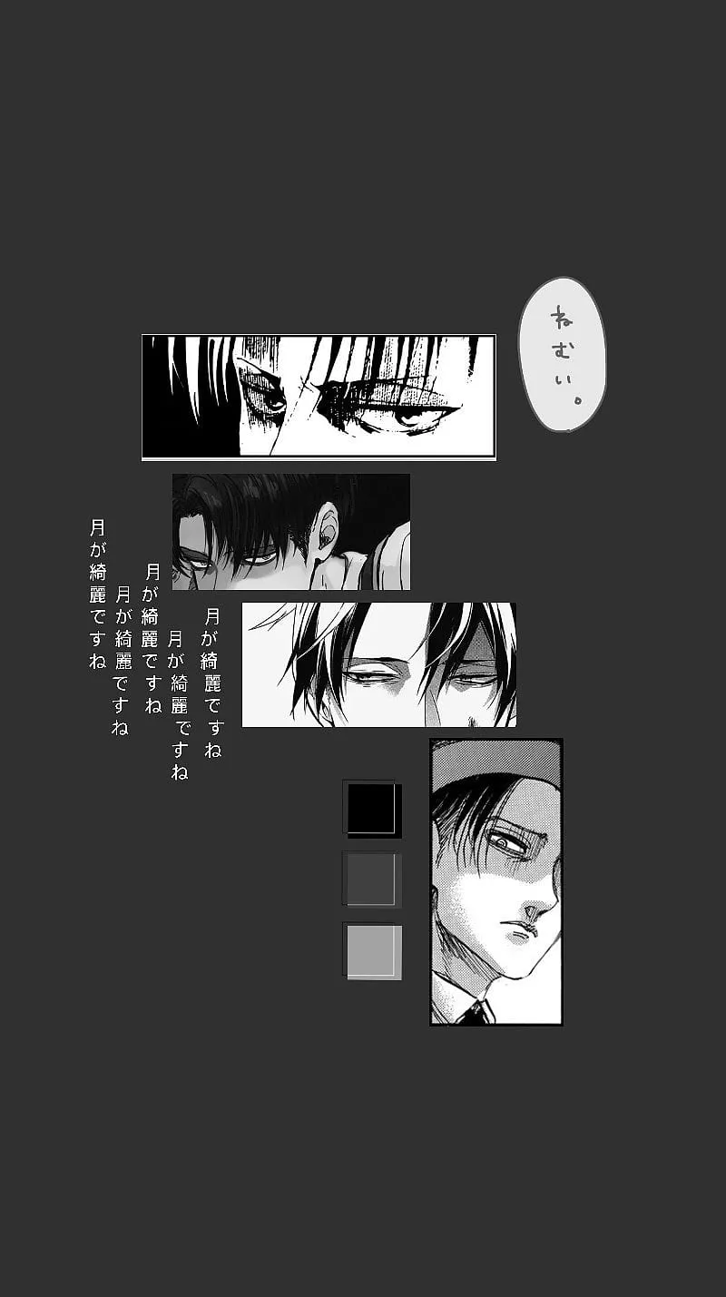 HD levi wallpaper