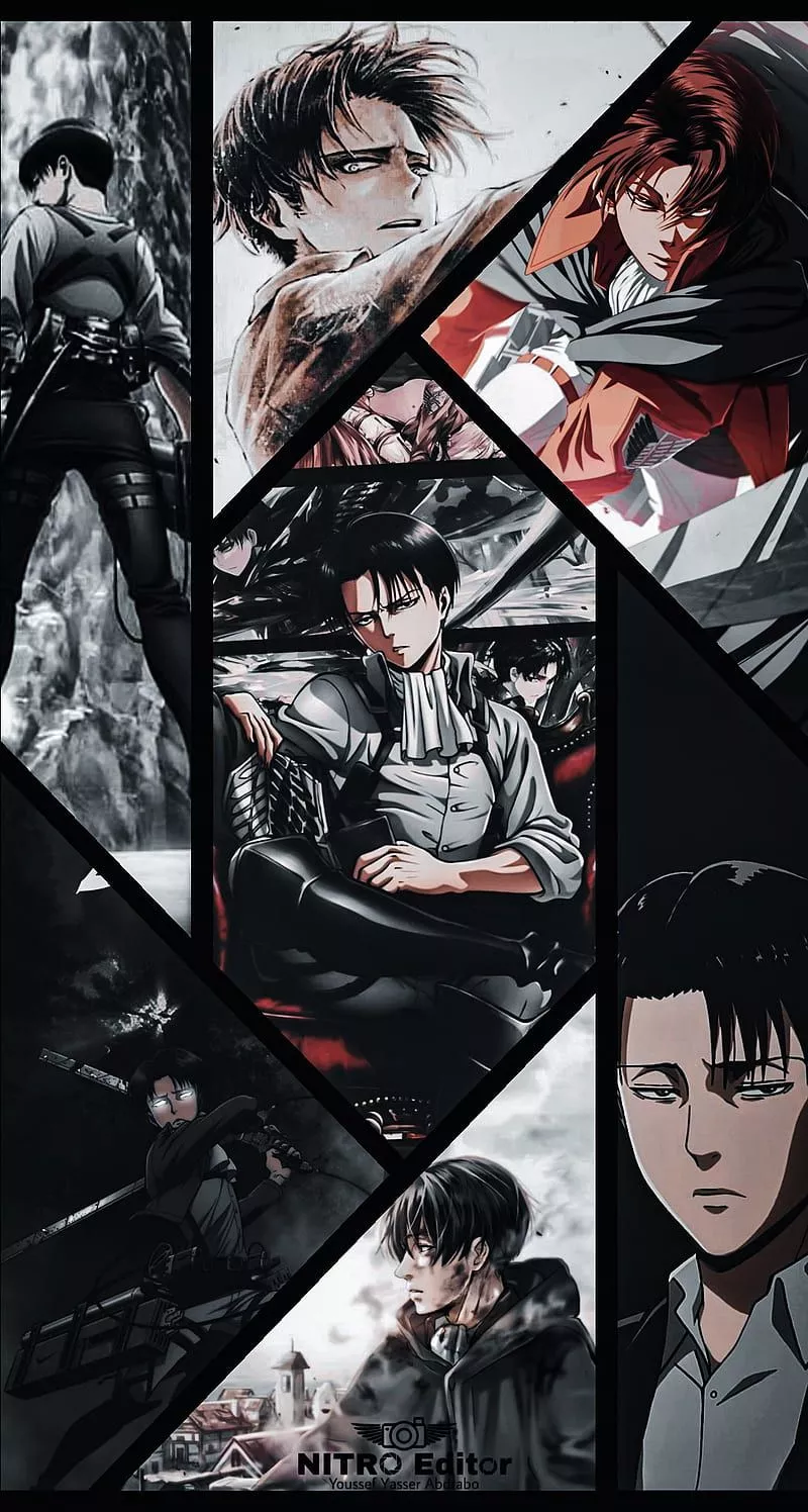 Levi, anime, attack on titan, HD phone