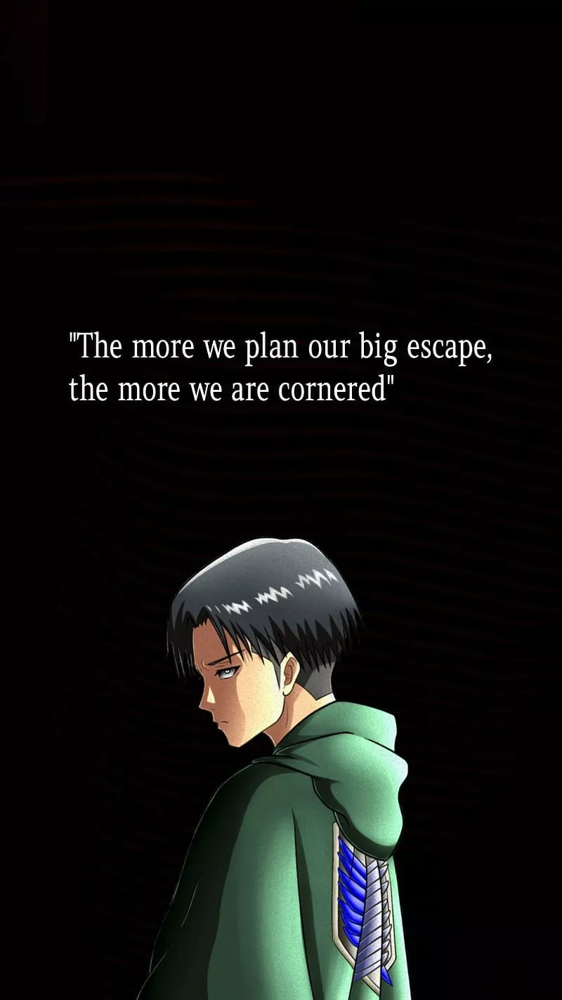 Levi Ackerman, attack on titan, HD