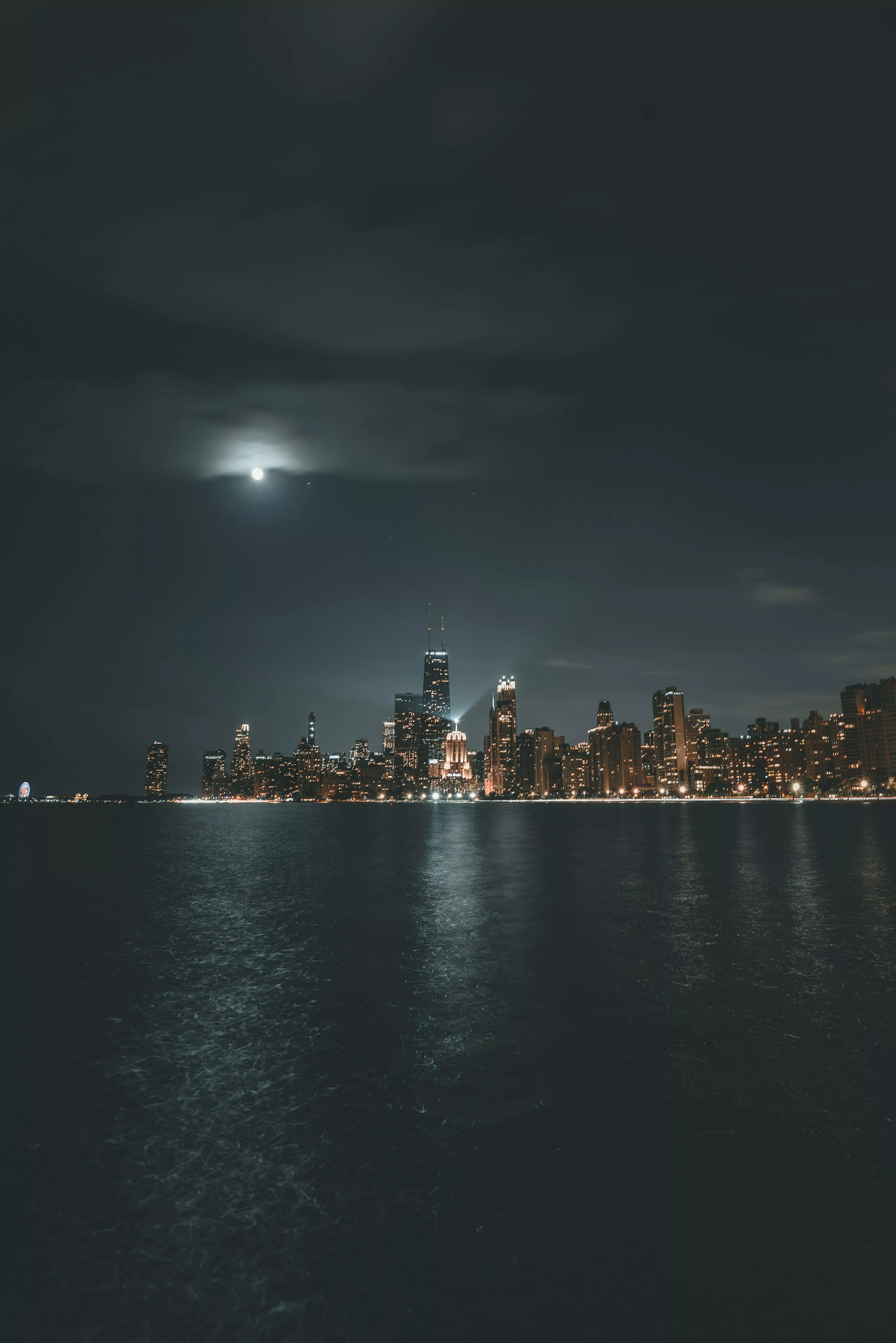 50,Chicago Night Skyline Picture