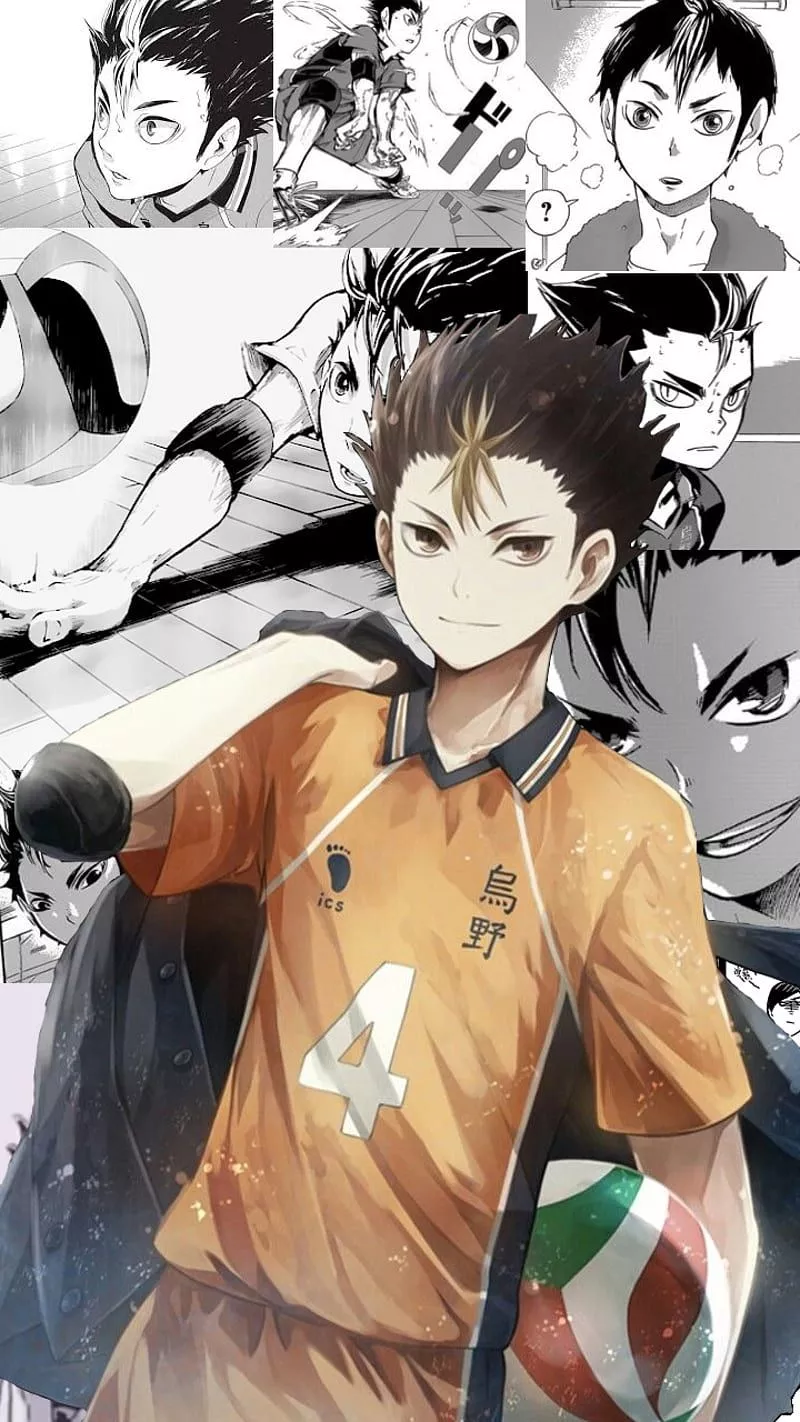 Noya, anime, haikyuu, nishinoya, HD