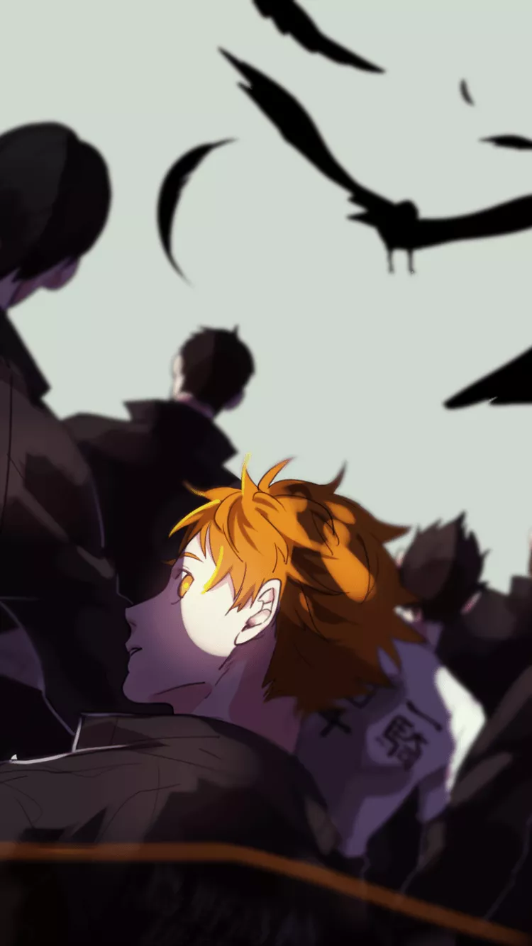 Koushi Sugawara Wallpaper