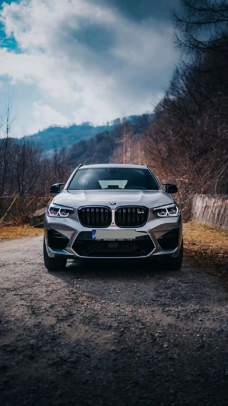 X3 M