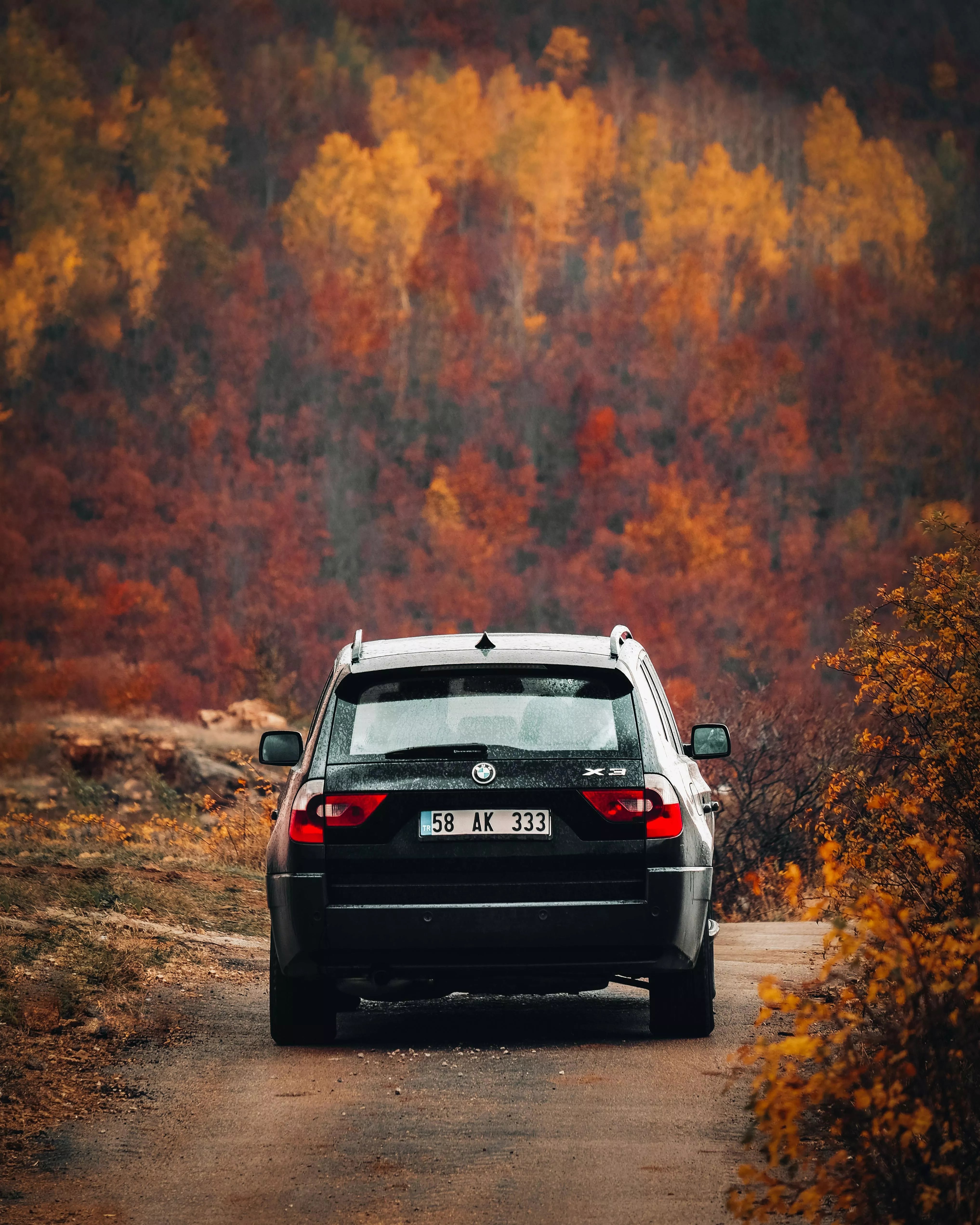 BMW X3 on a Road in Autumnal Forest