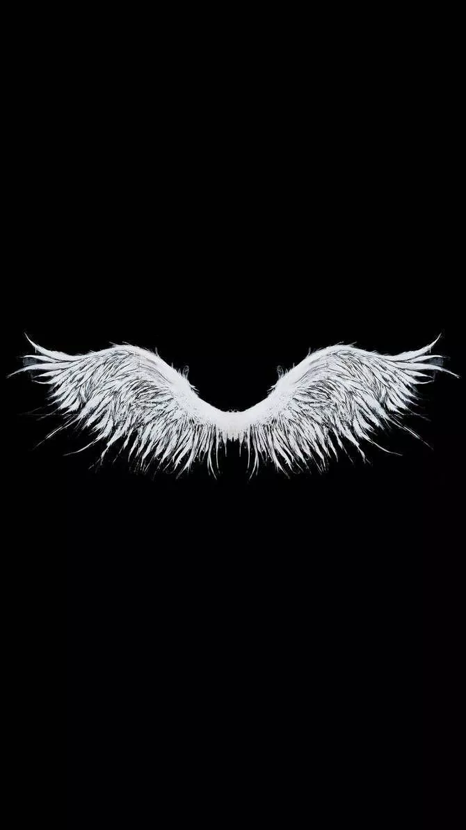 Angel Wings Background Wallpaper