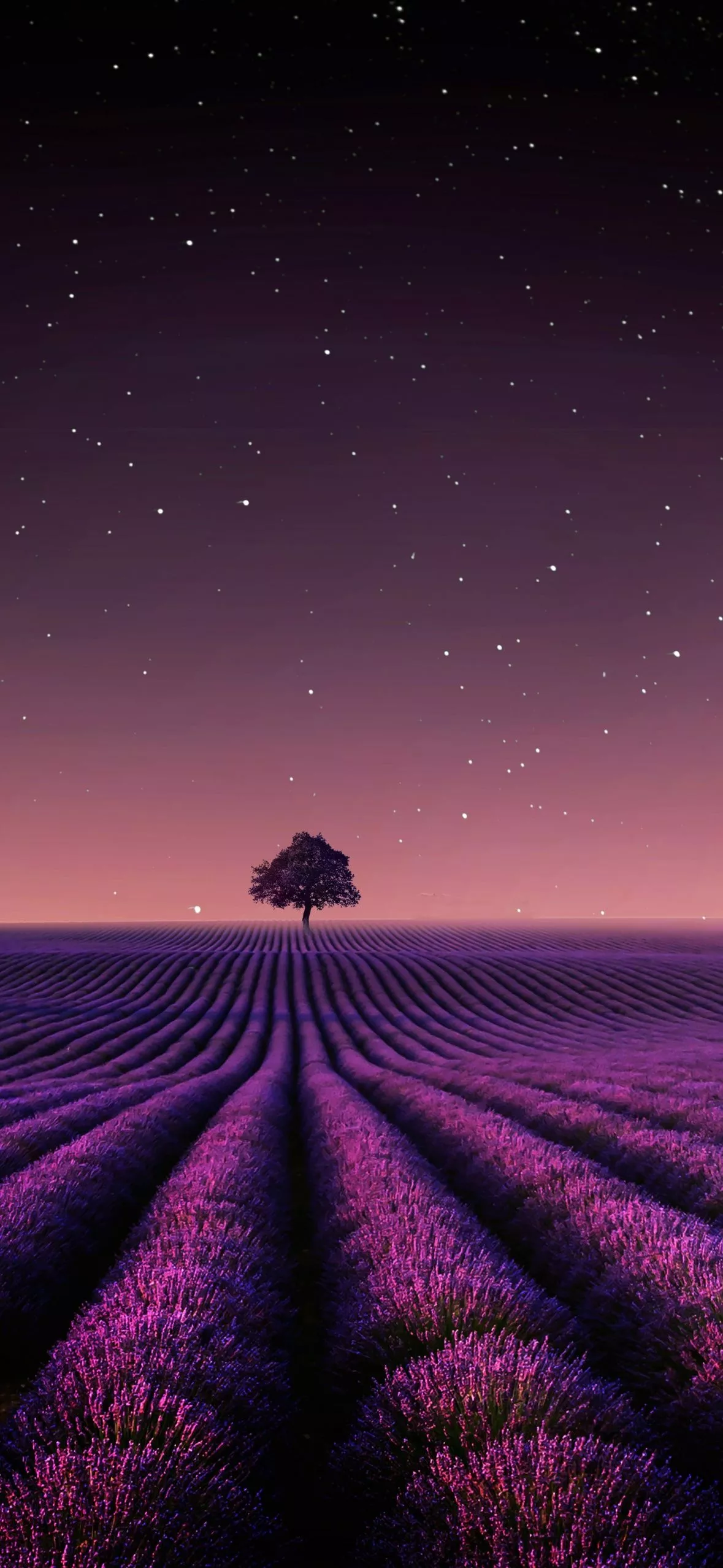 Wallpaper 4K, Solitude Tree, Crescent Moon