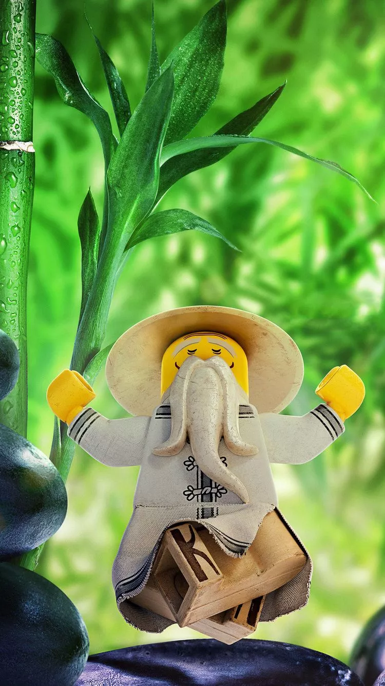 Sensei Wu The LEGO Ninjago