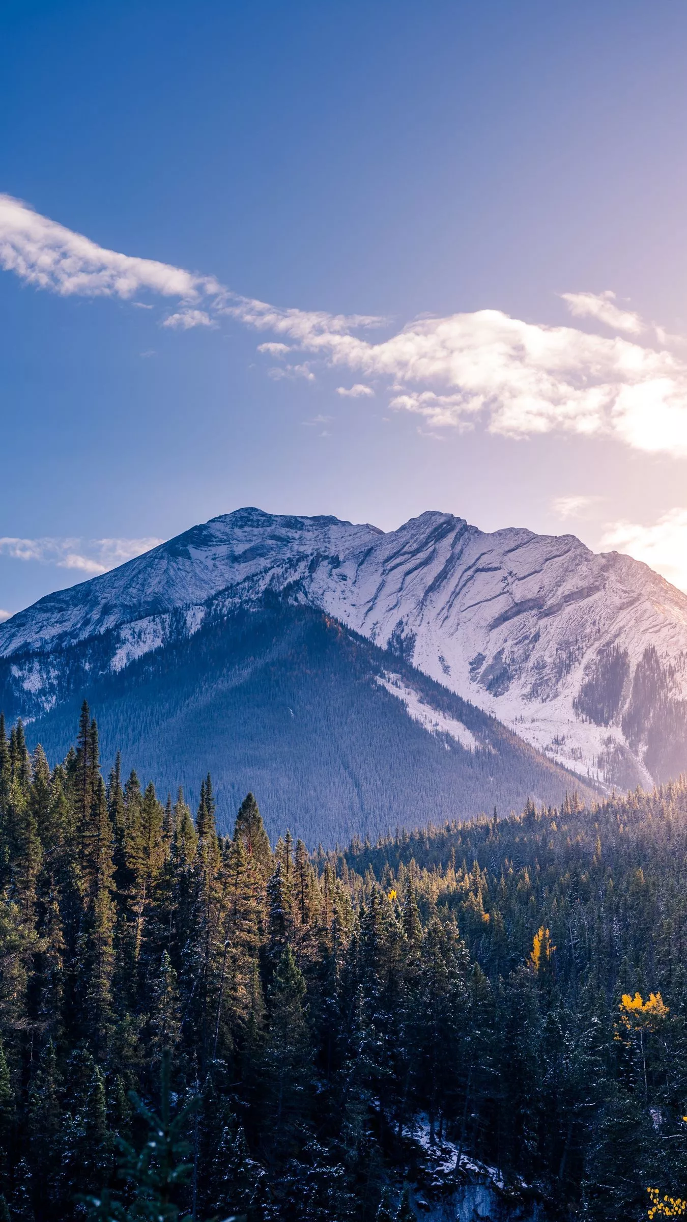 Download wallpaper 1350x2400 banff