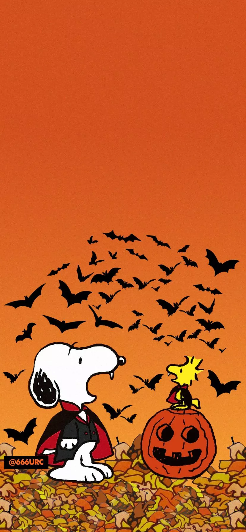 mobile phone wallpaper and lock screen