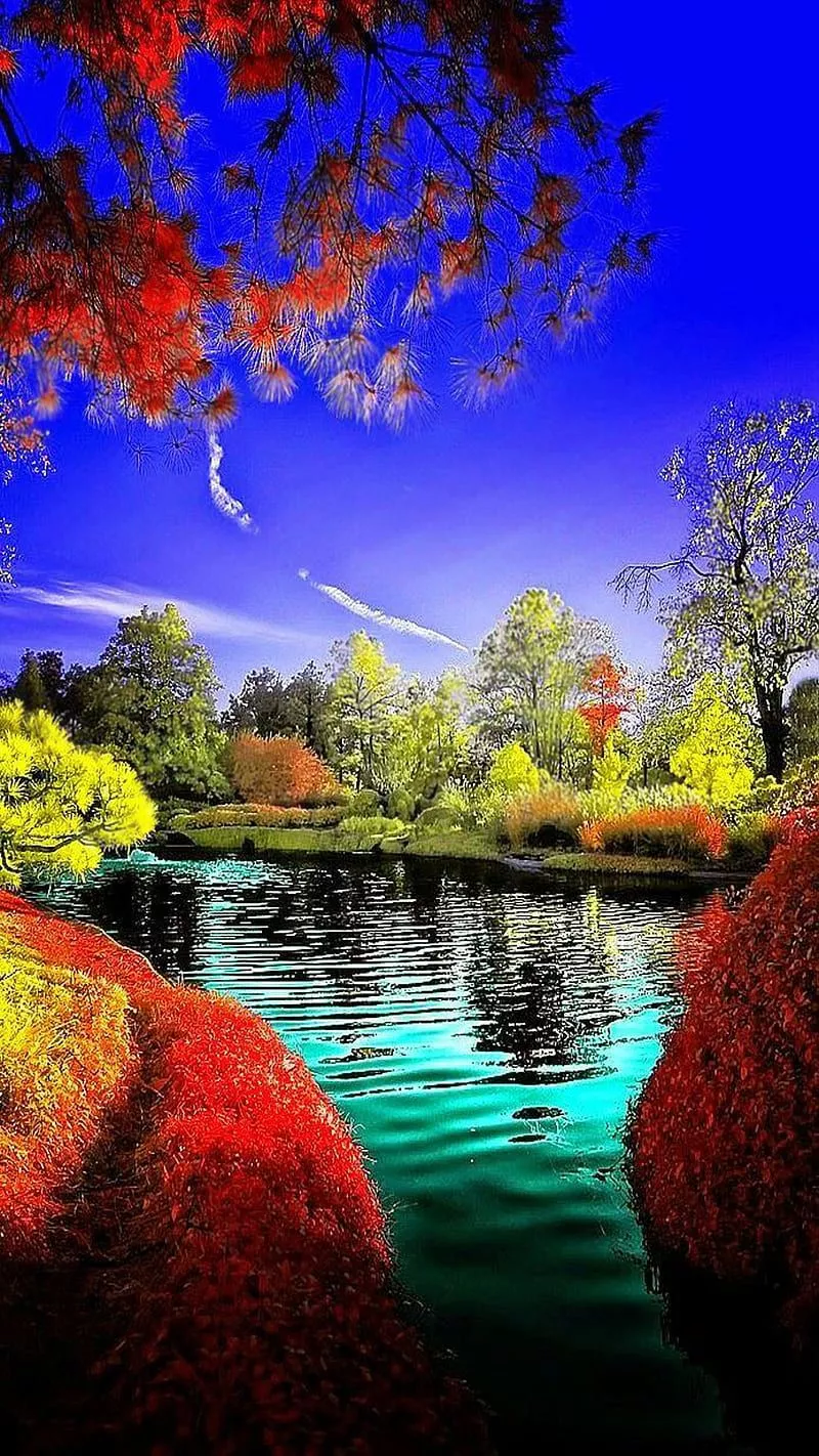 Nature, lake, sky, trees, water, HD phone wallpaper