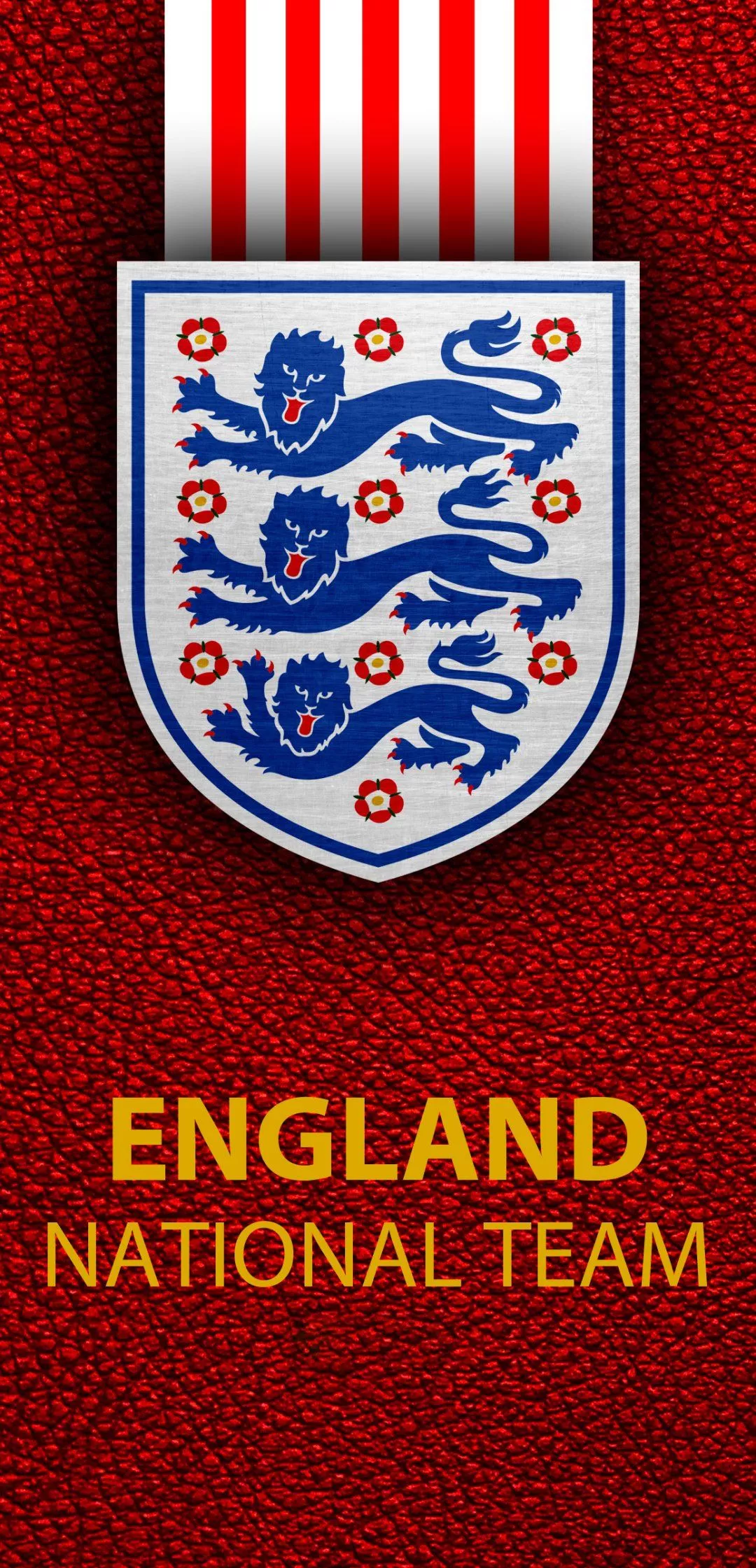 Download England National Football Team