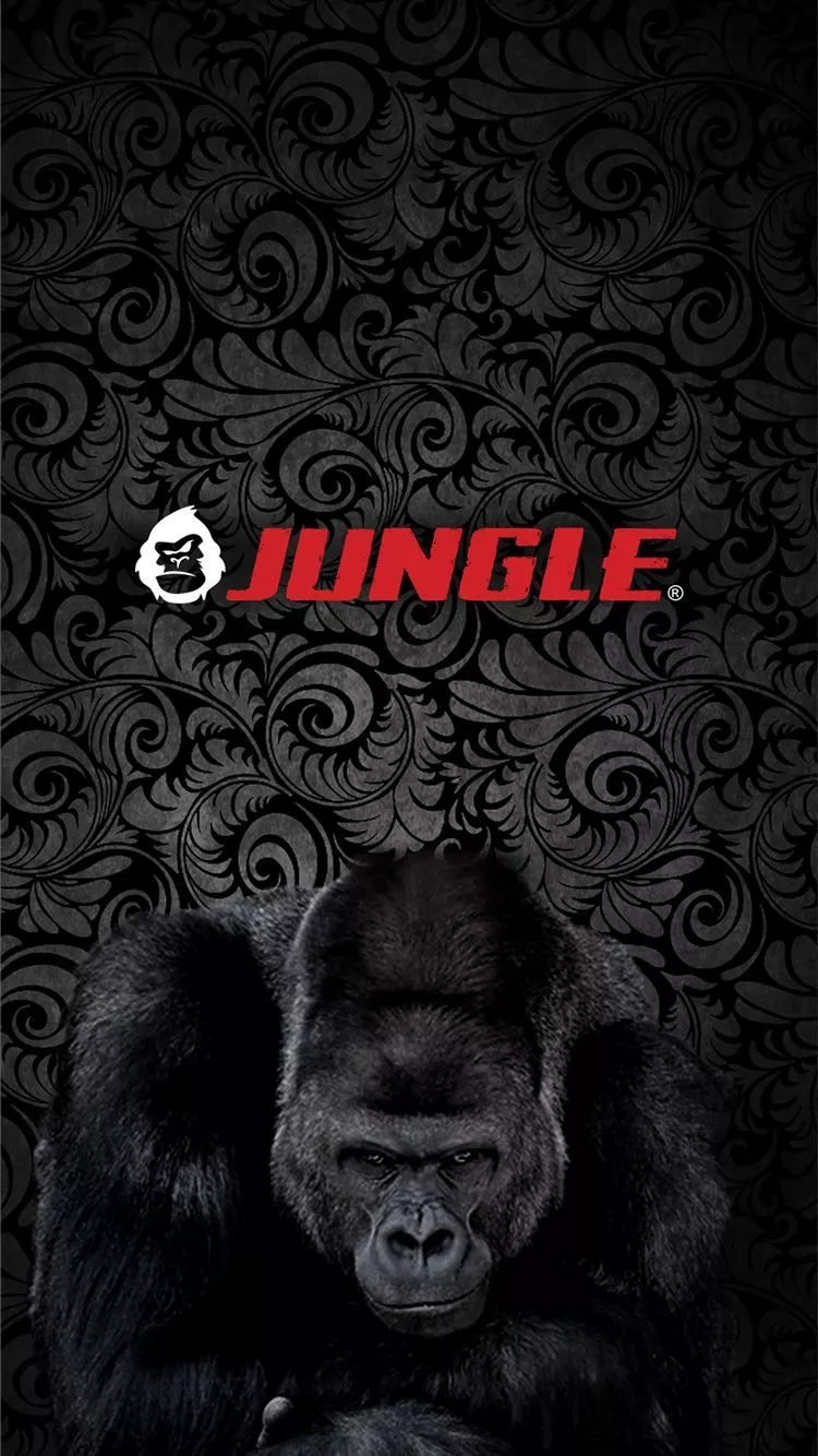 gorilla iPhone Wallpaper Free Download