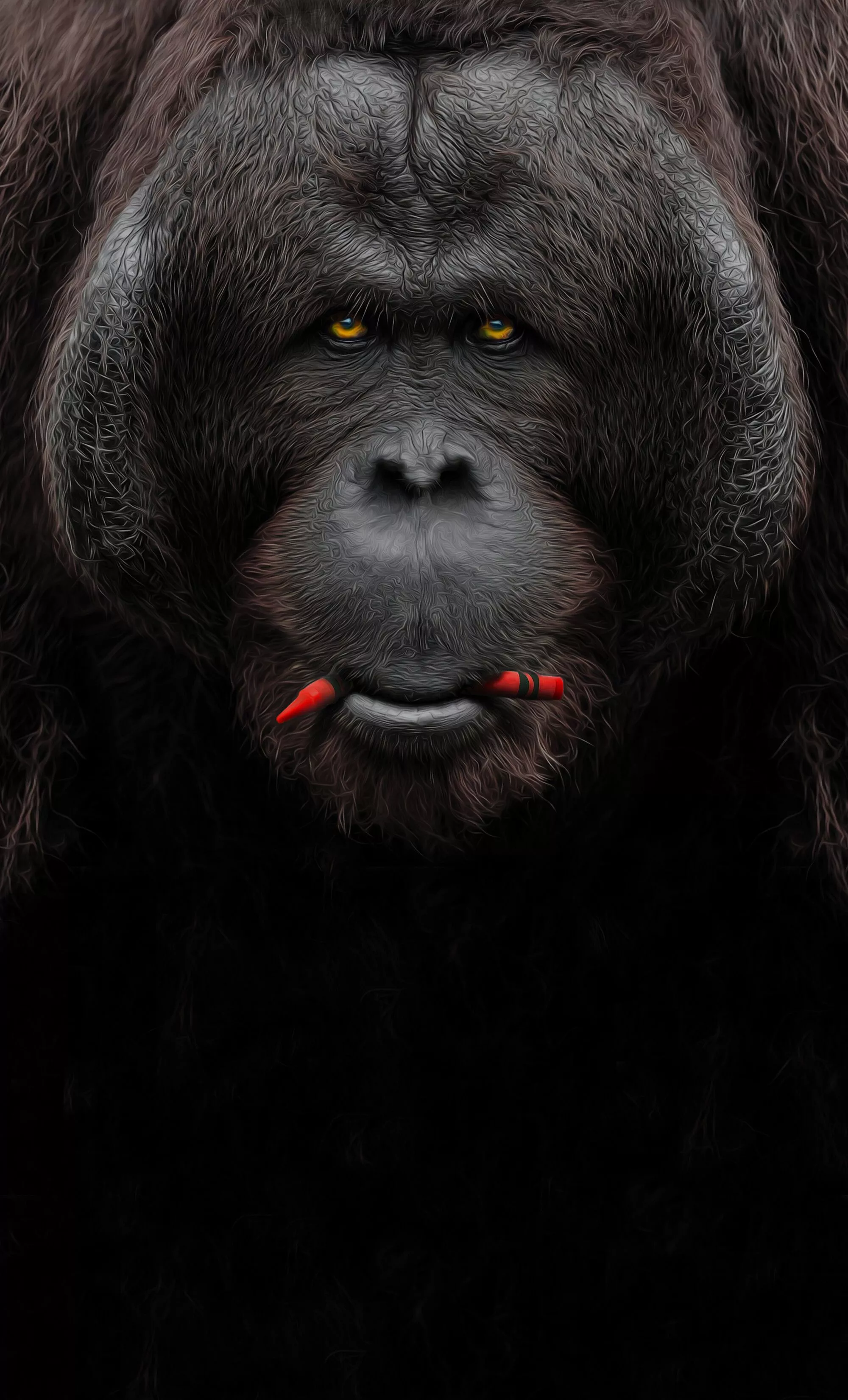 Ape Wallpaper