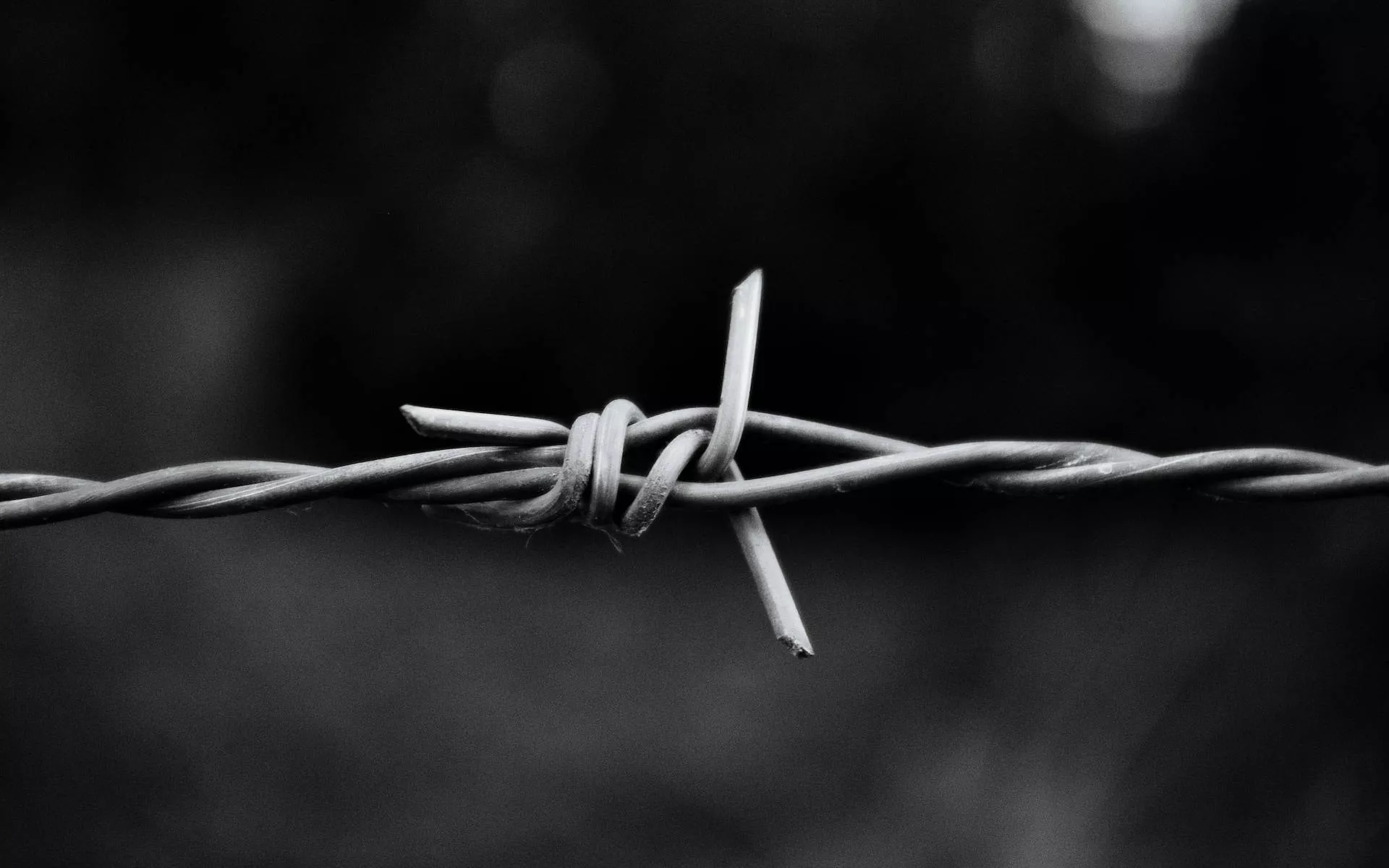 Black And White HD Barbed Wire