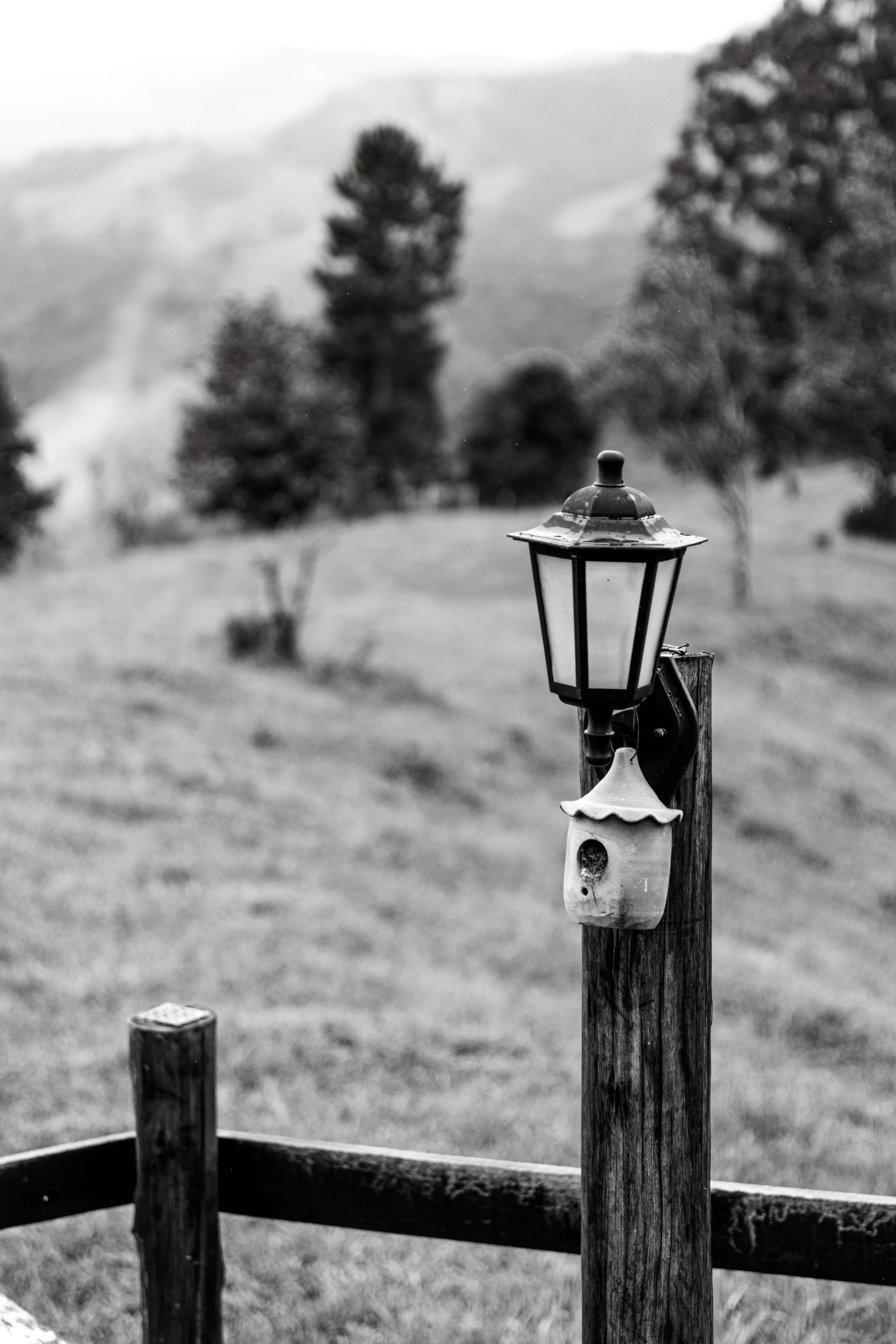 A Lamp on a Fence Post · Free